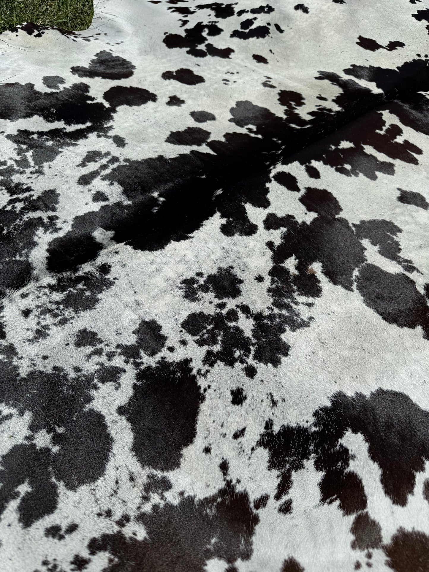Cowhide Rug 291