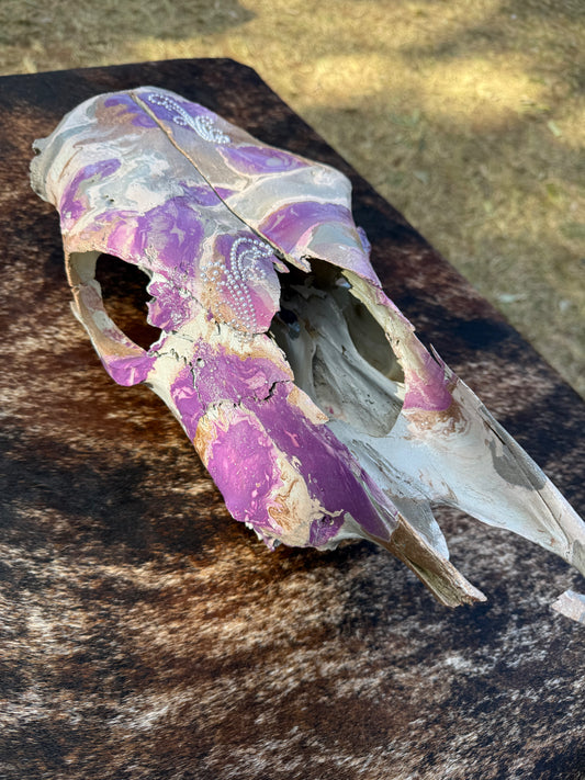 Painted Cow Skull