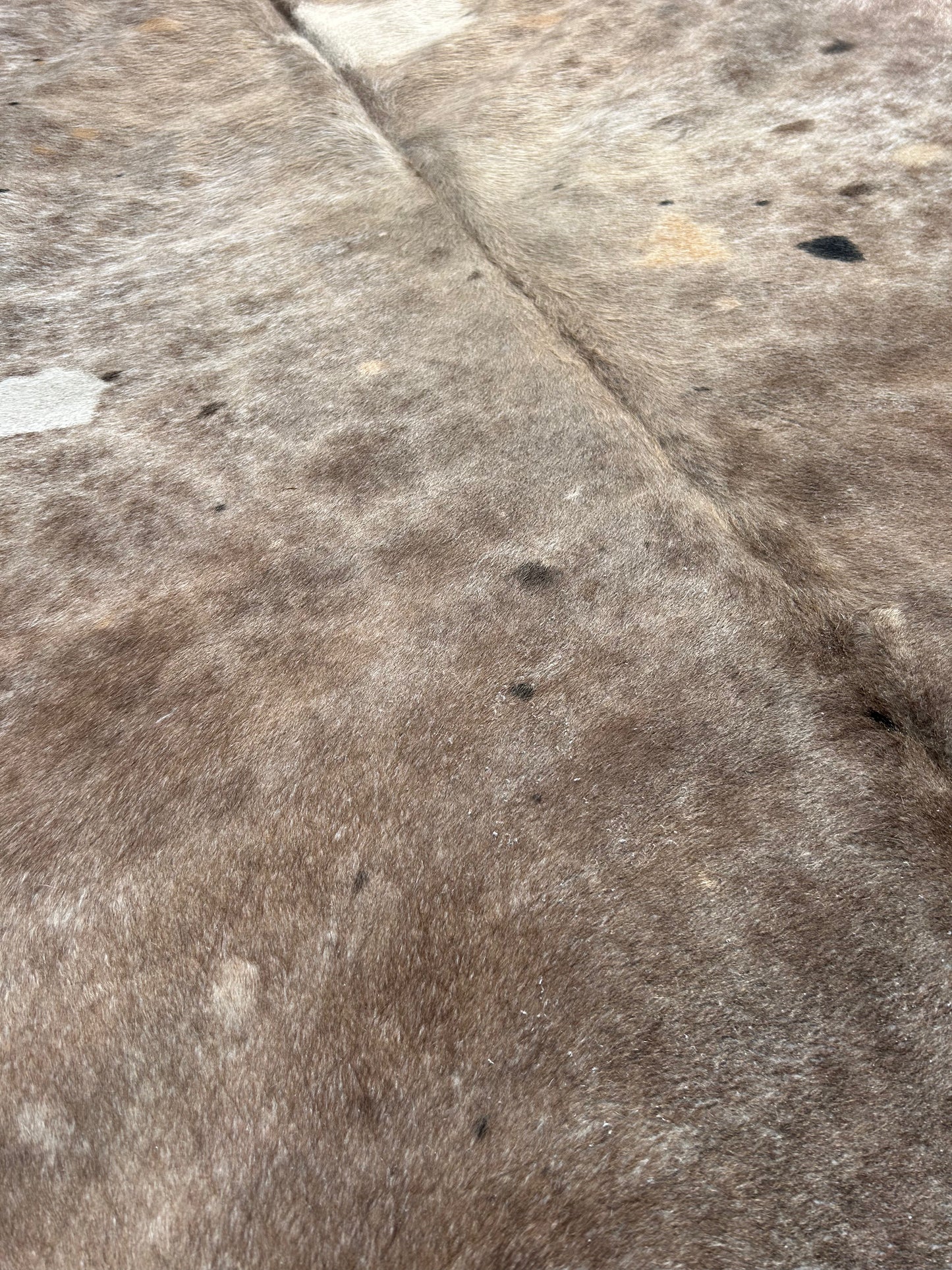 2nd rug