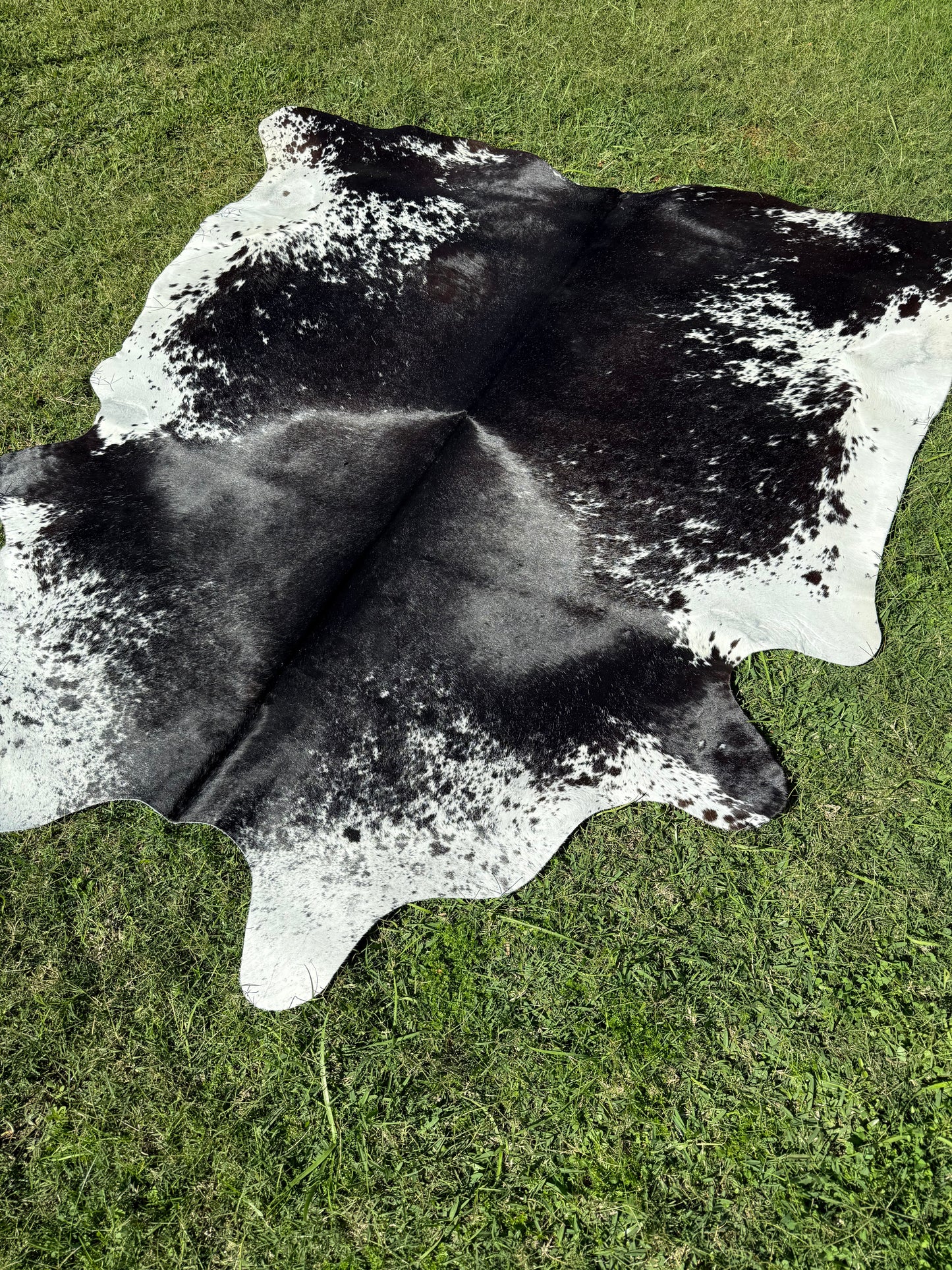 Cowhide Rug 293