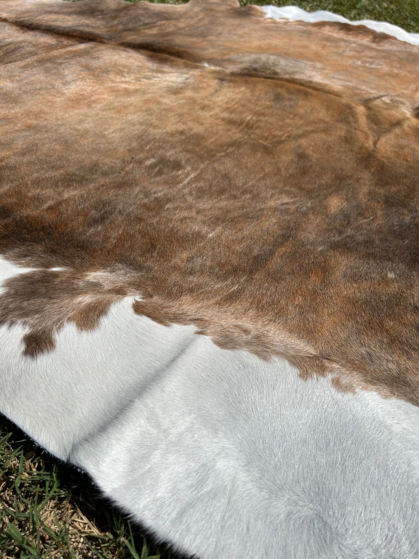 Cowhide Rug 267