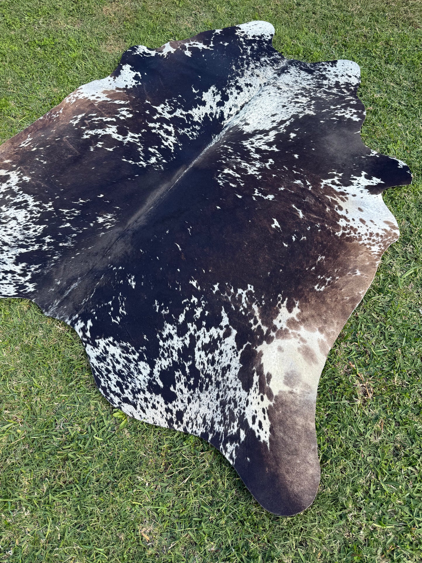 Cowhide Rug 302