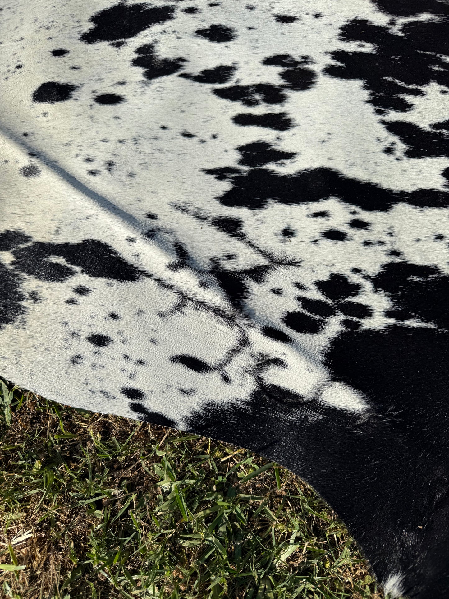 Cowhide Rug 344