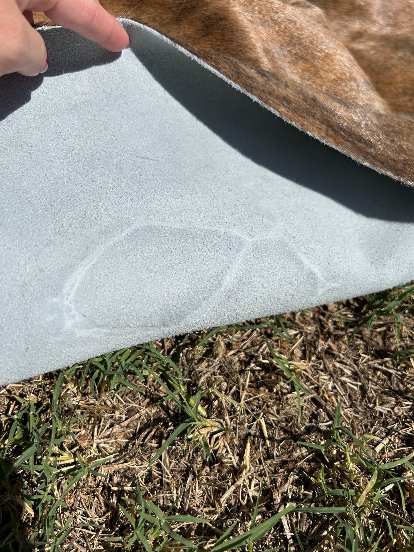 Cowhide Rug 267