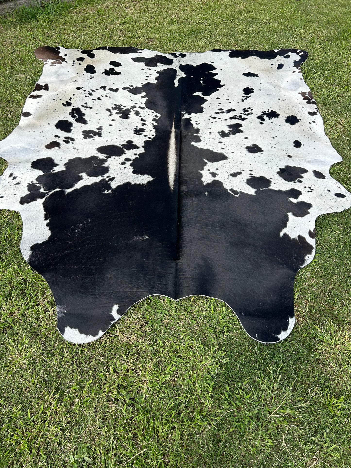 Cowhide Rug 275