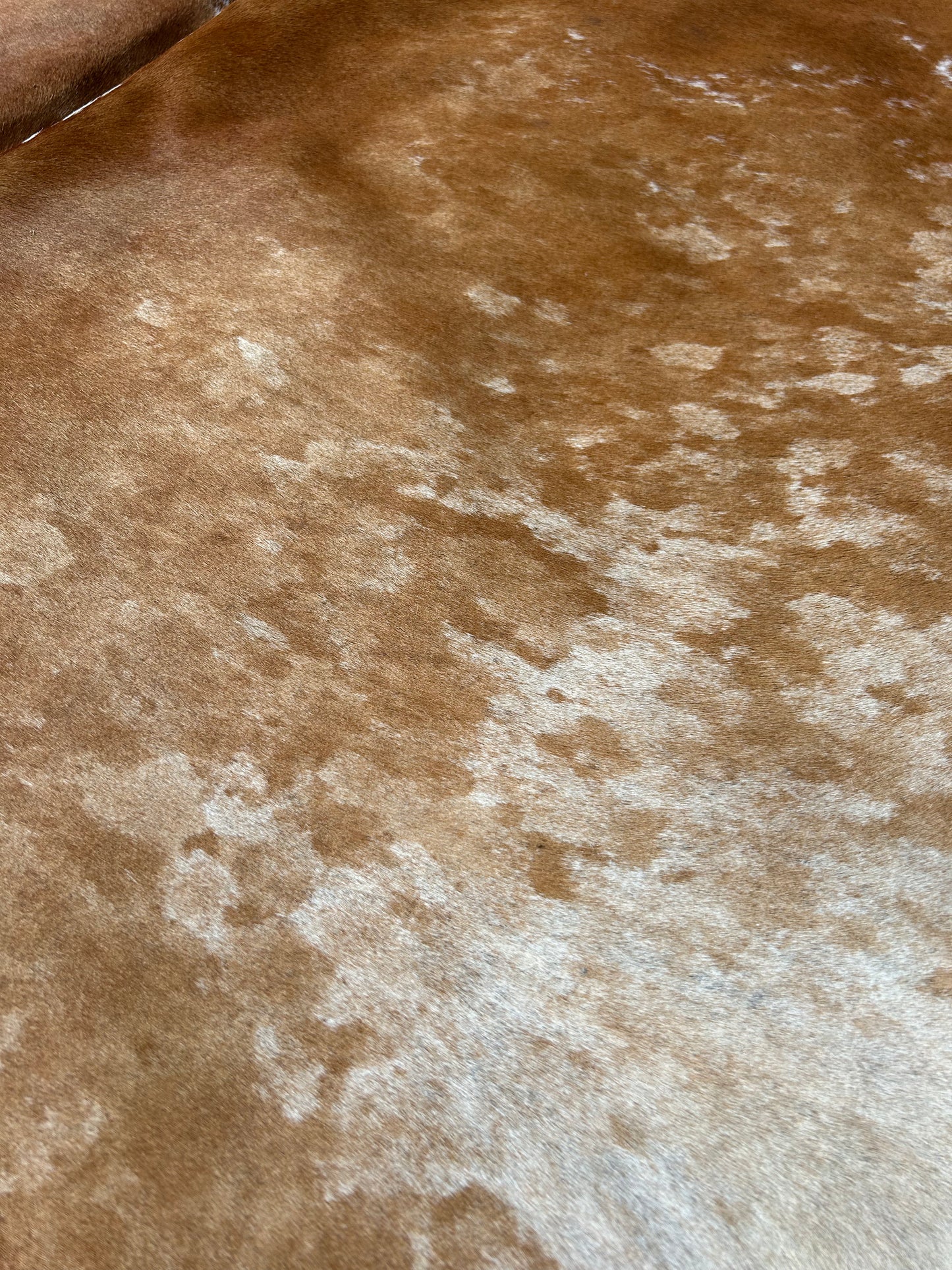 Cowhide Rug 278