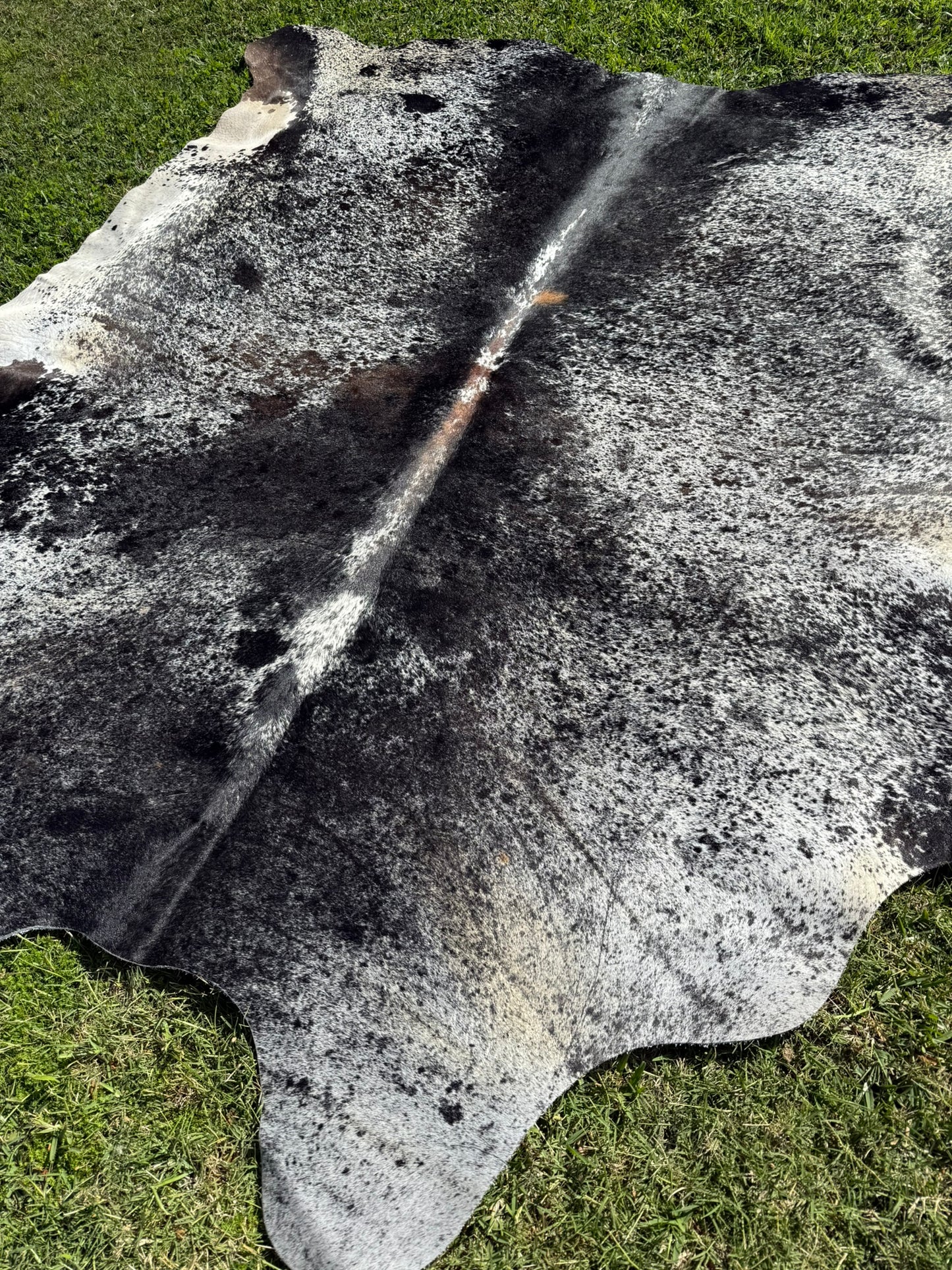 Cowhide Rug 300