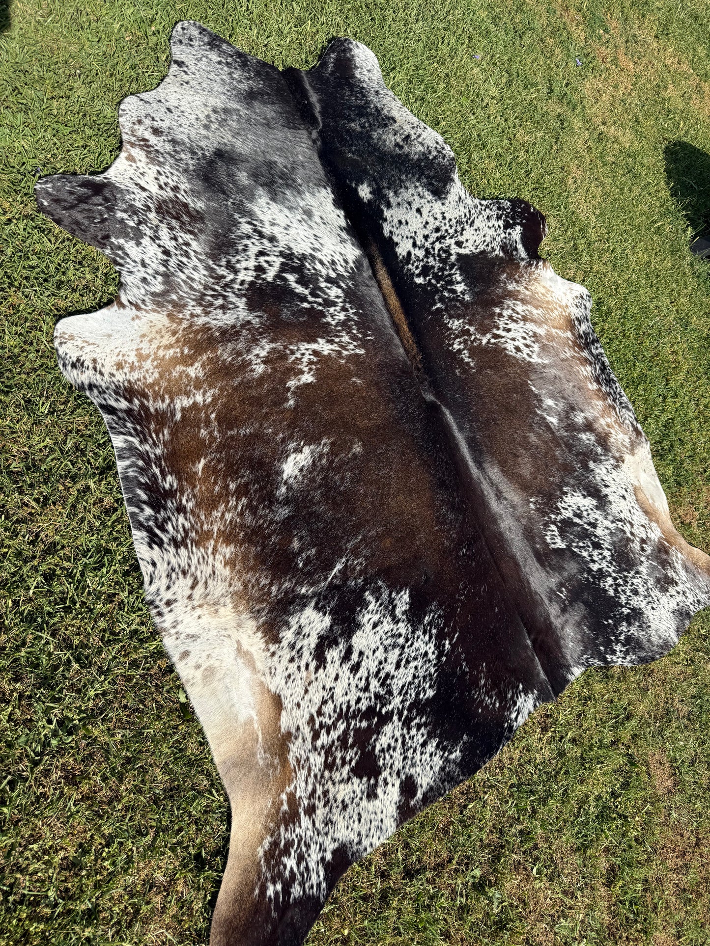 Cowhide Rug 340