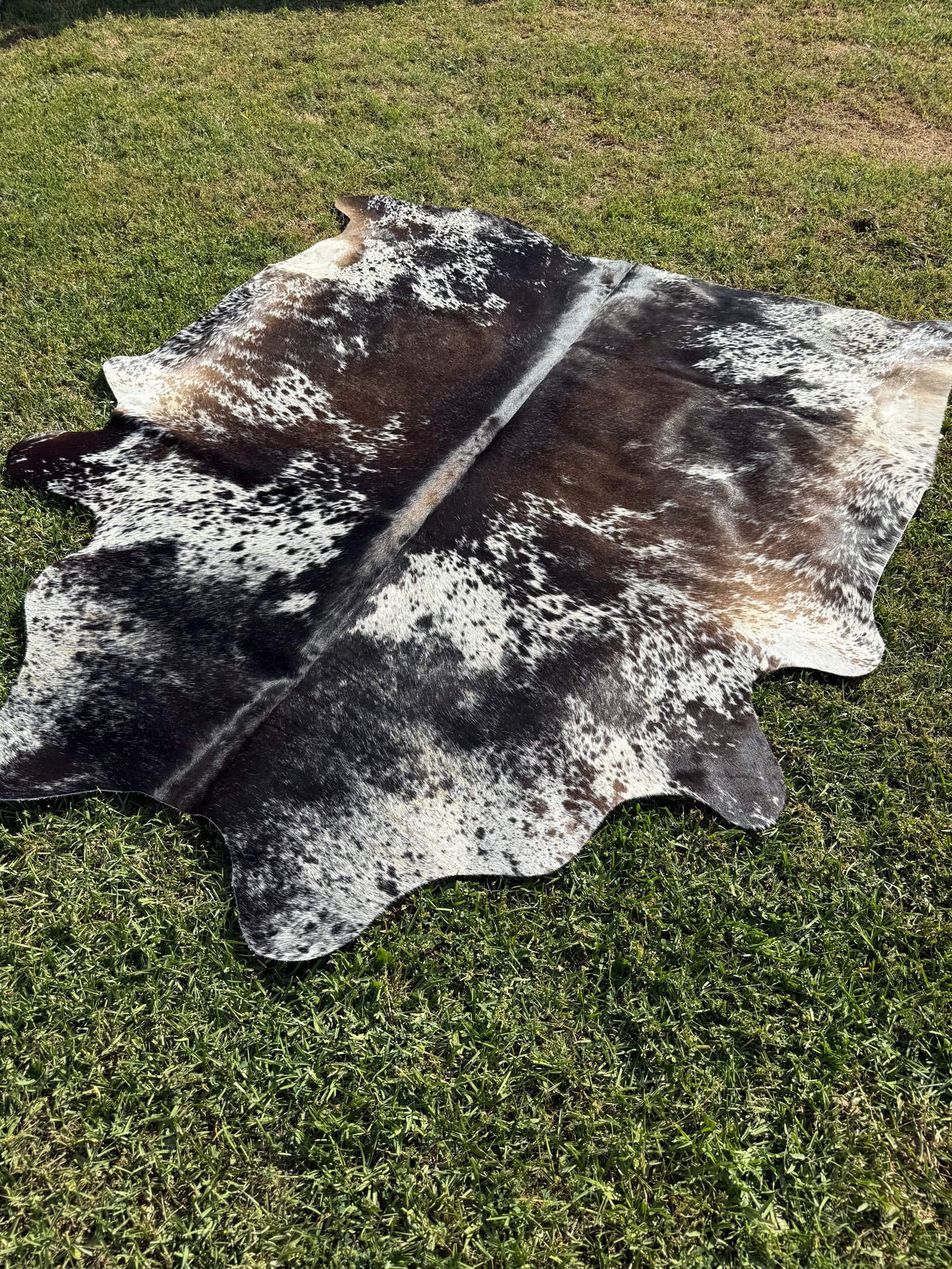 Cowhide Rug 340
