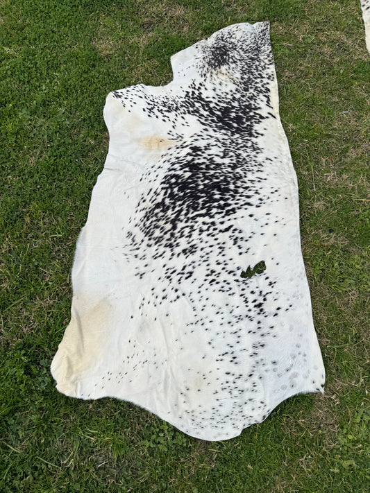 Craft hide side - 17