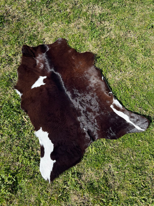 Calf Hide 51