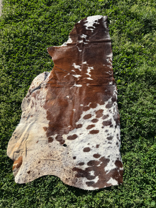 Craft hide side - 33