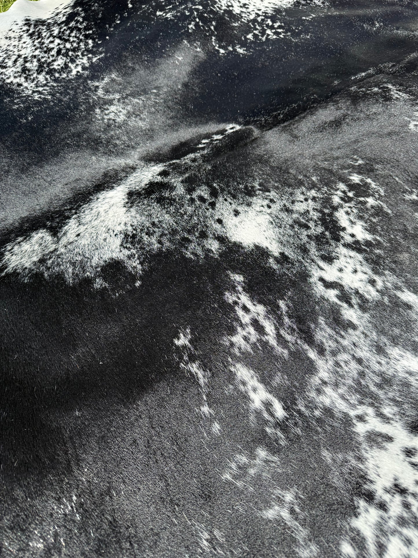 Cowhide Rug 290