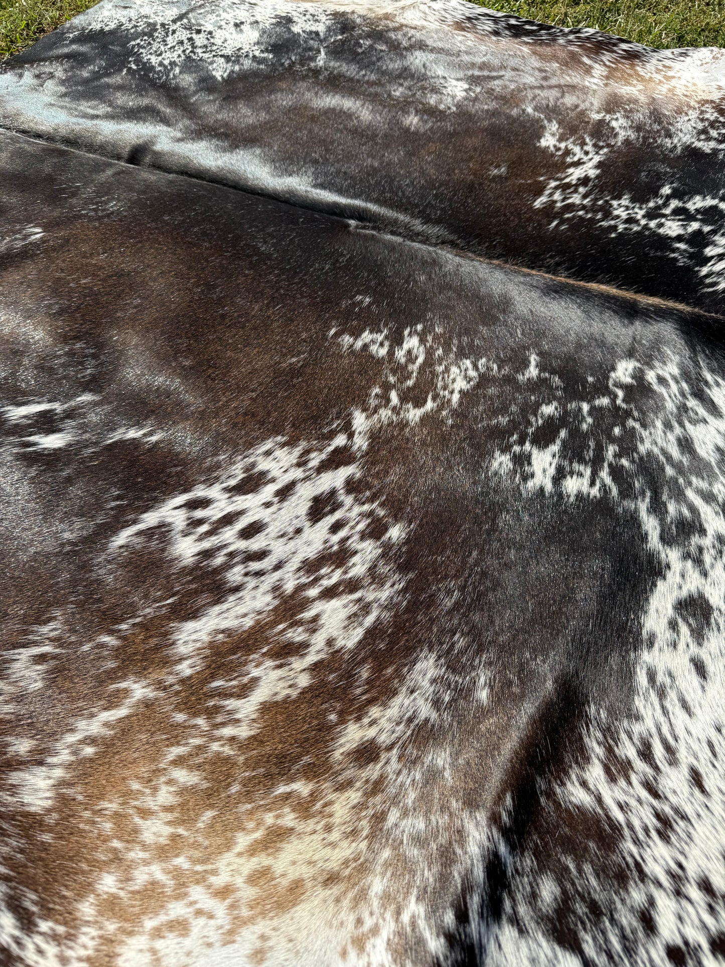 Cowhide Rug 340