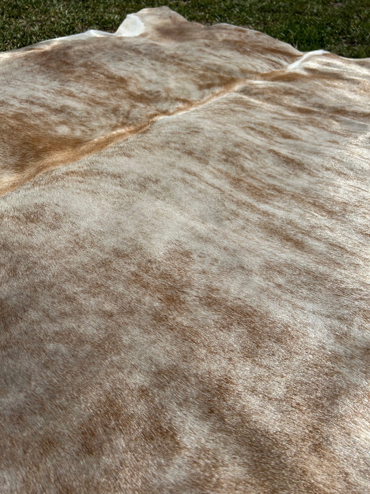 Cowhide Rug 265