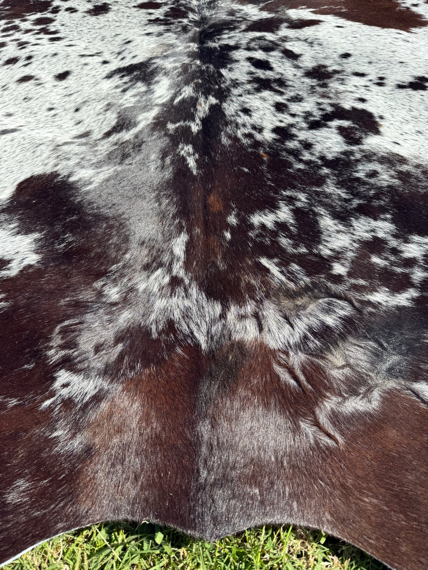 Cowhide Rug 301