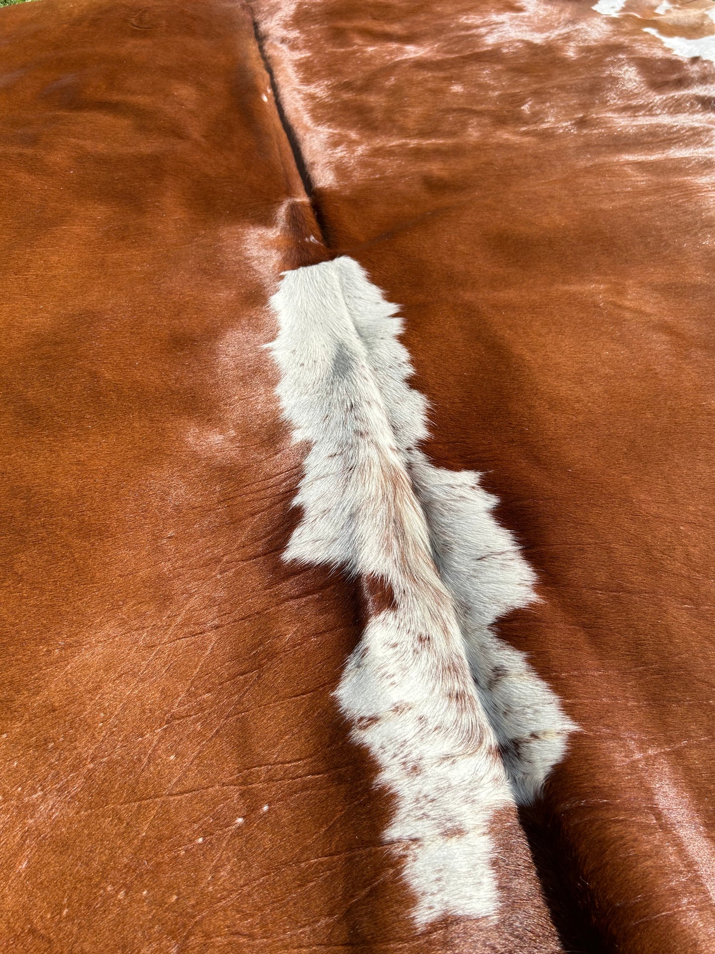 Cowhide Rug 280