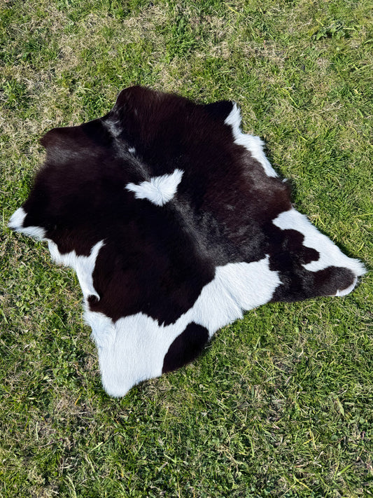Calf Hide 55