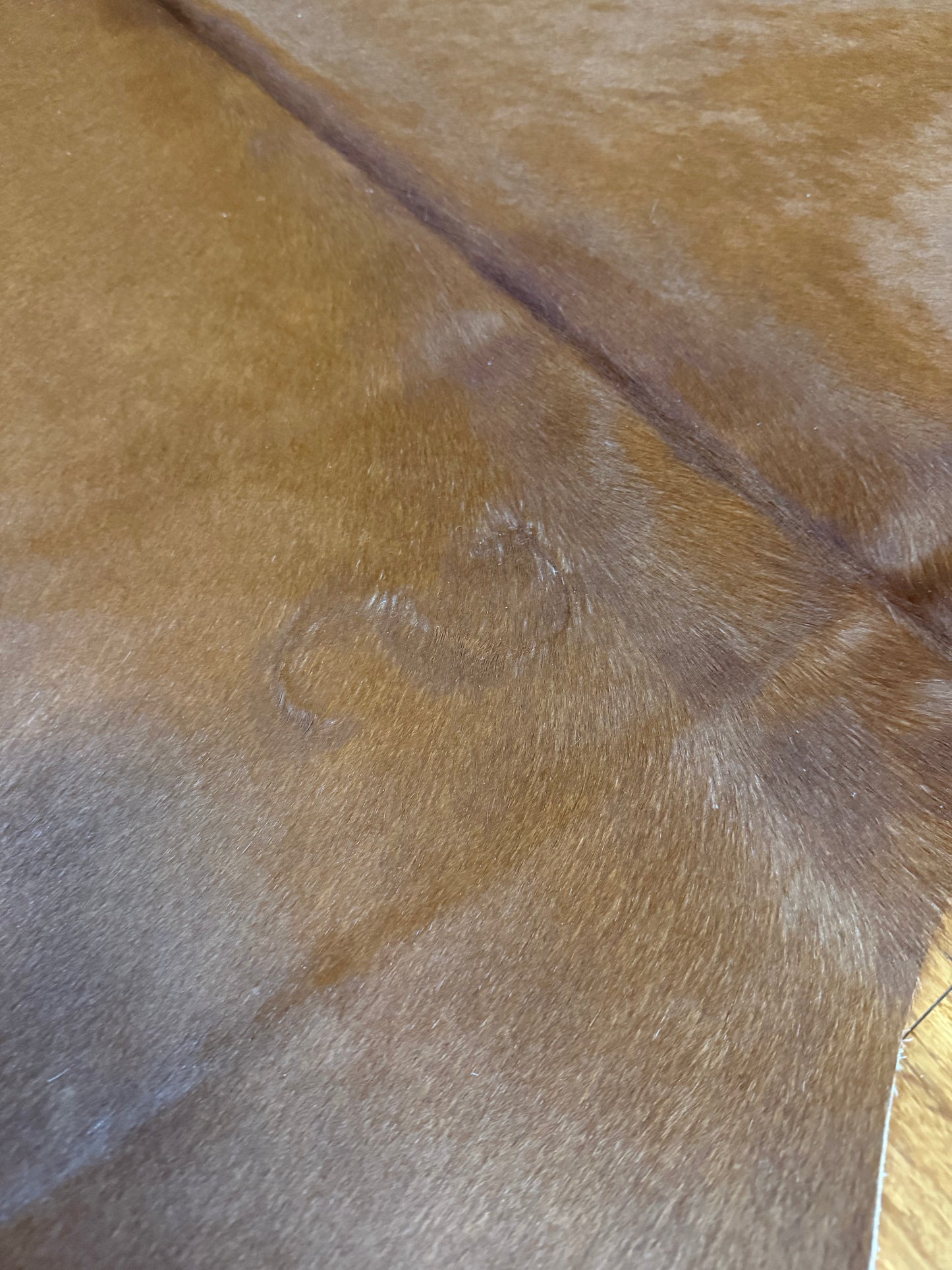 Cowhide Rug 320