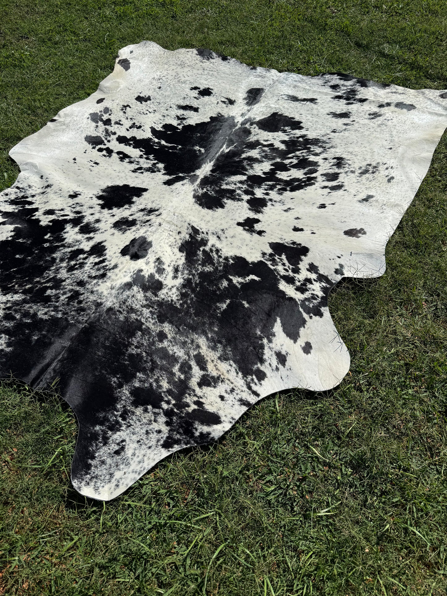 Cowhide Rug 289