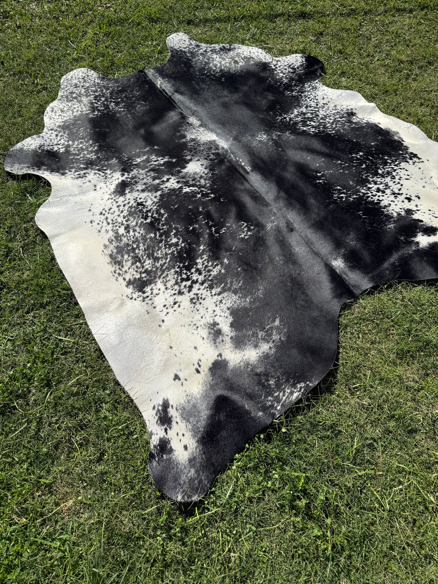 Cowhide Rug 290