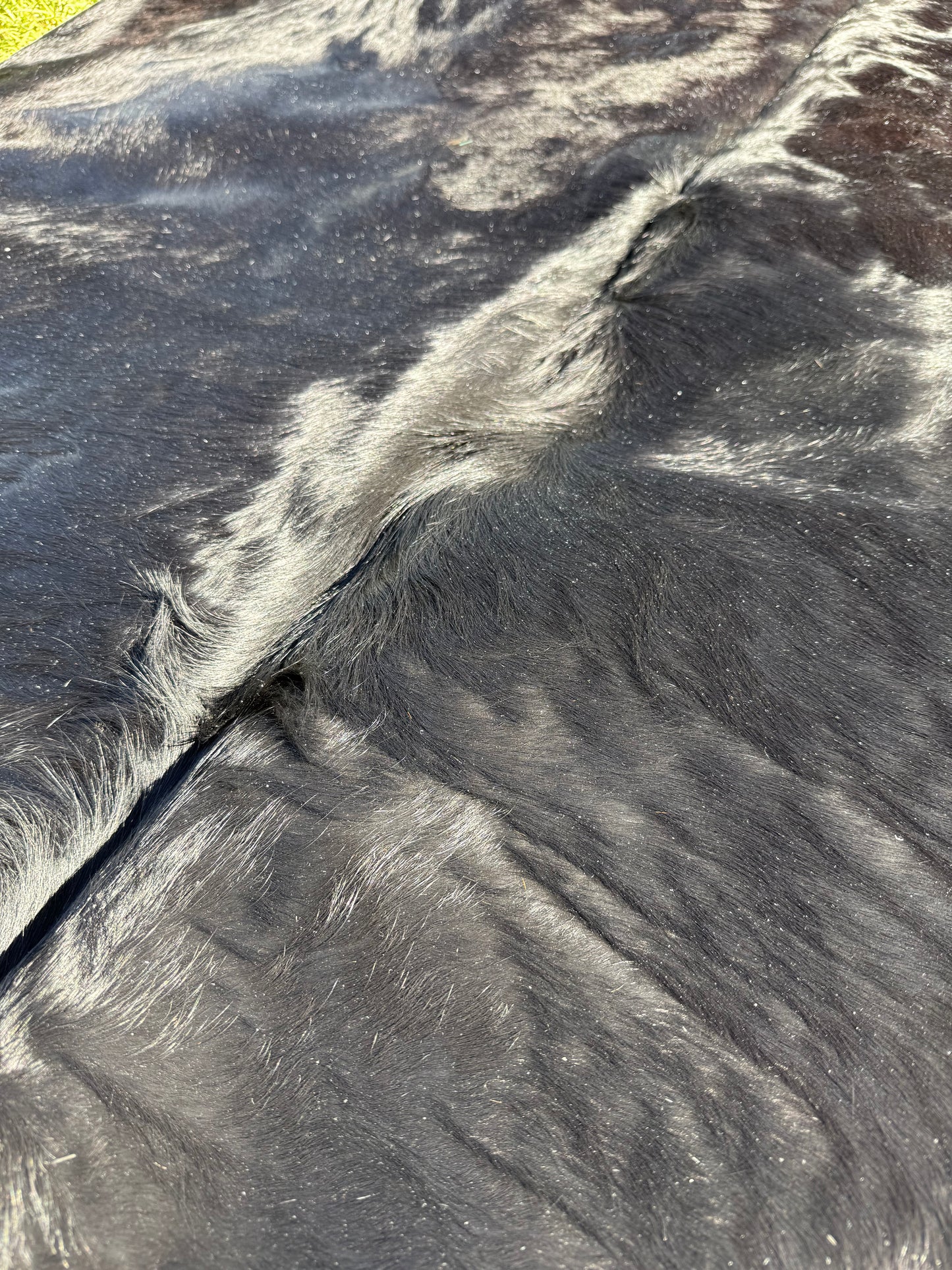 Cowhide Rug 408