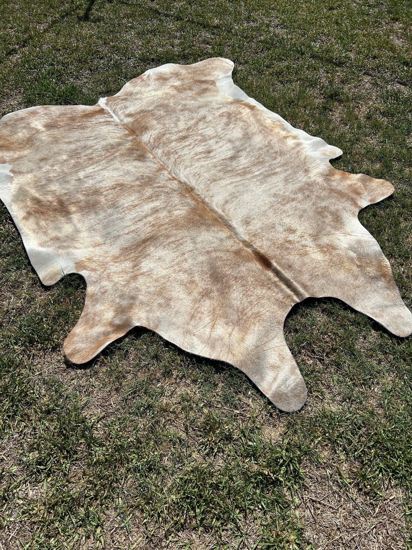 Cowhide Rug 265