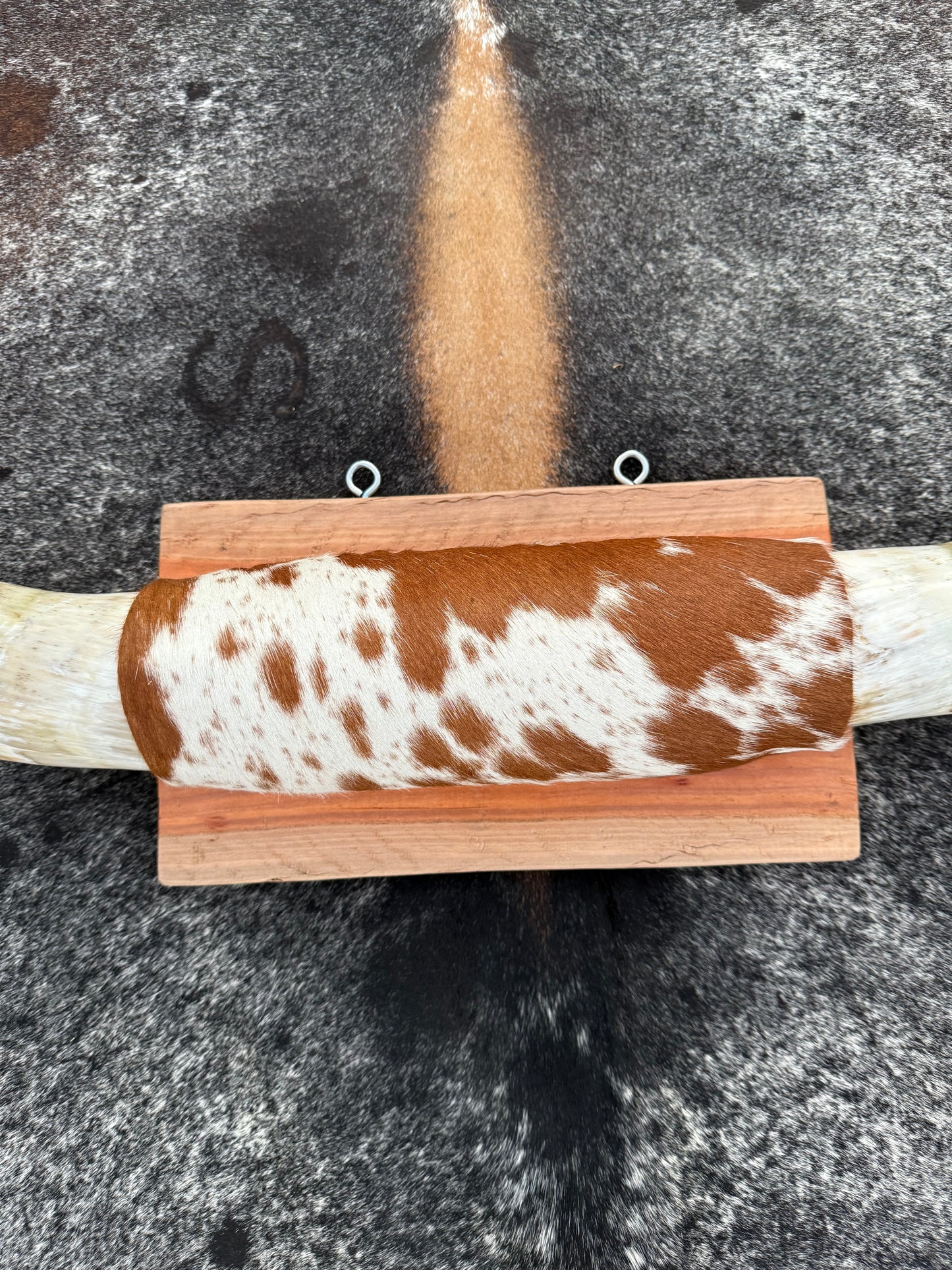 Large Mounted Longhorns - $480 Message us to purchase **$450 SALE PRICE**