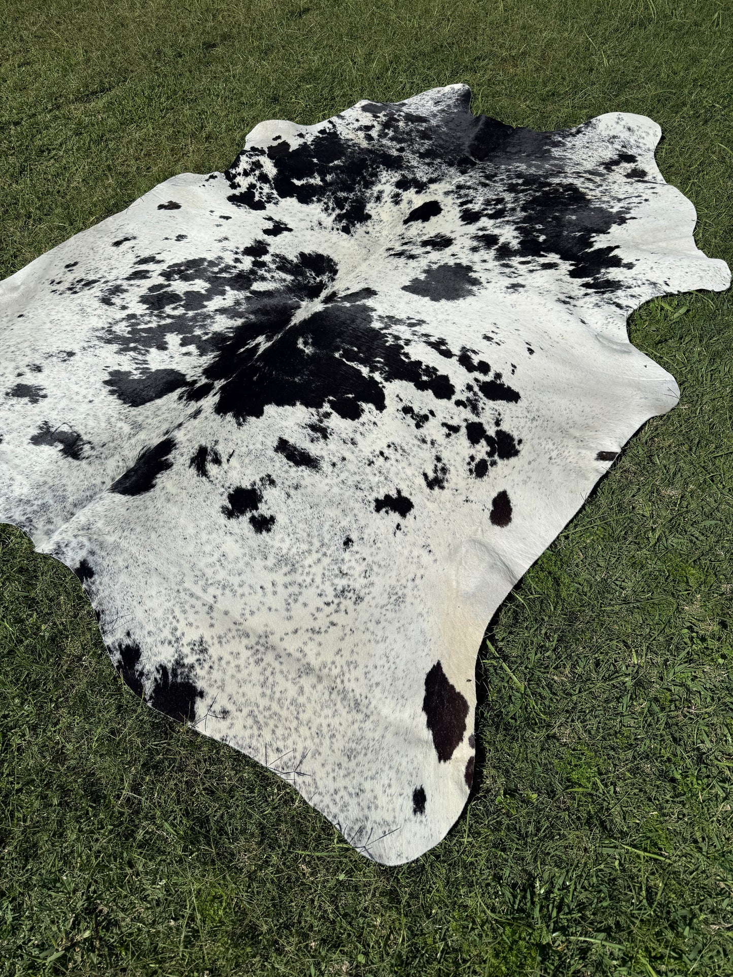 Cowhide Rug 289