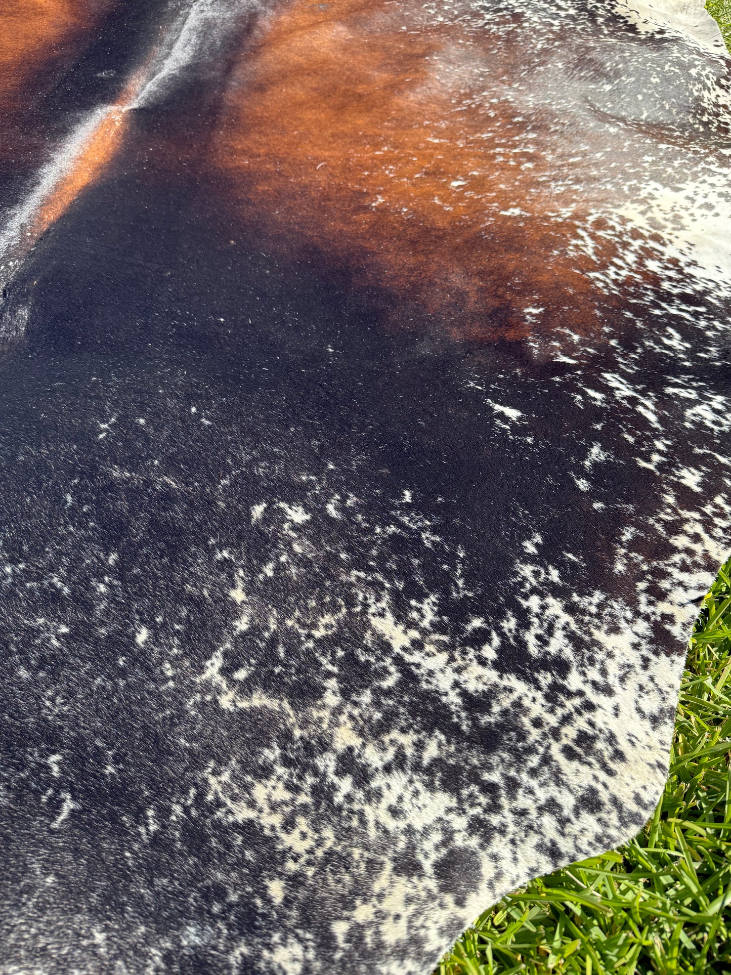 Cowhide Rug 405