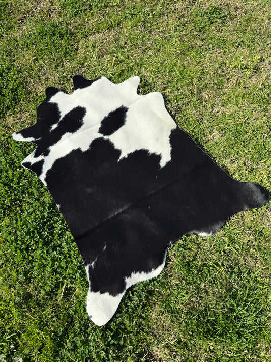 Mini Cowhide 11