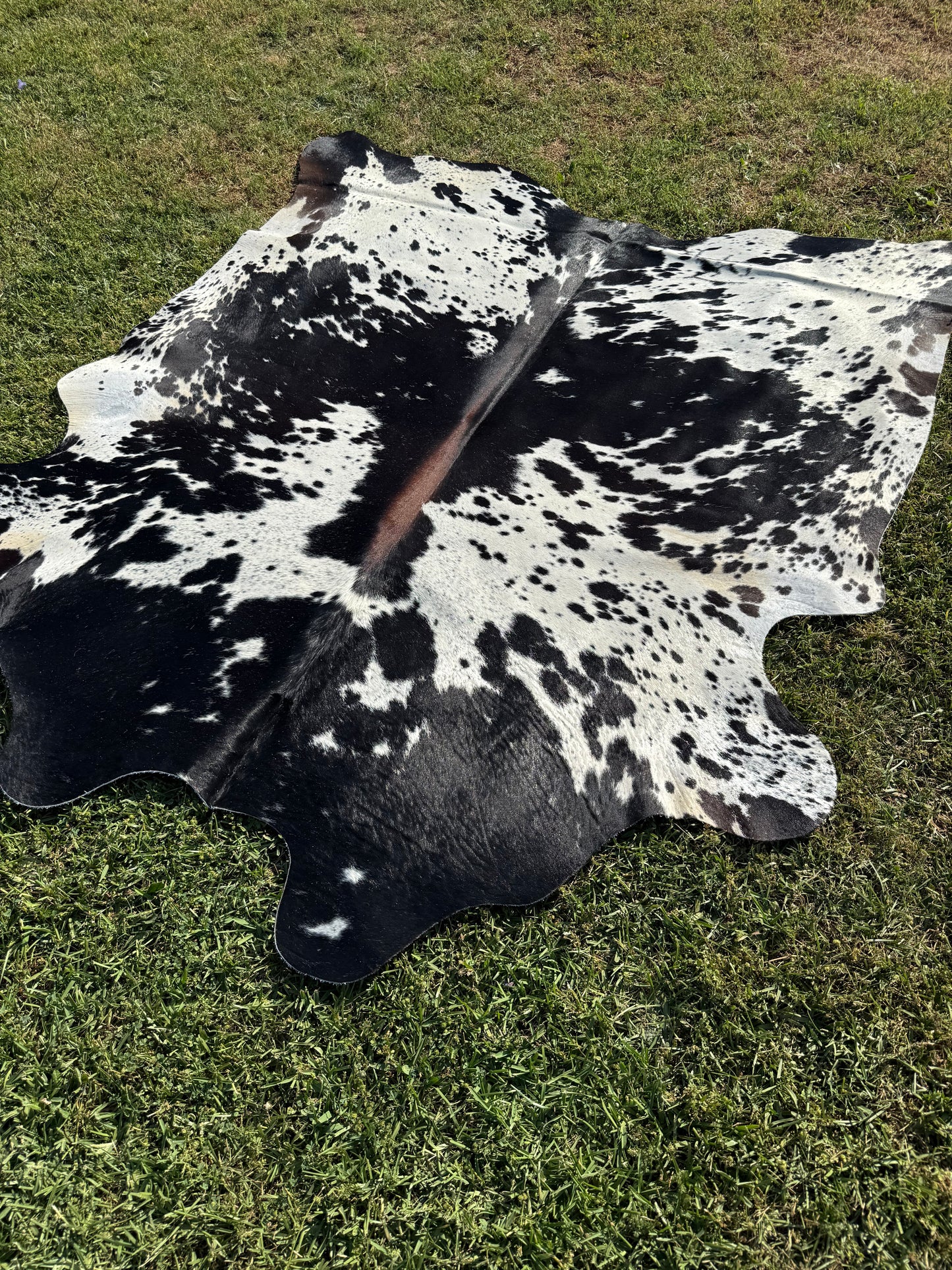 Cowhide Rug 344