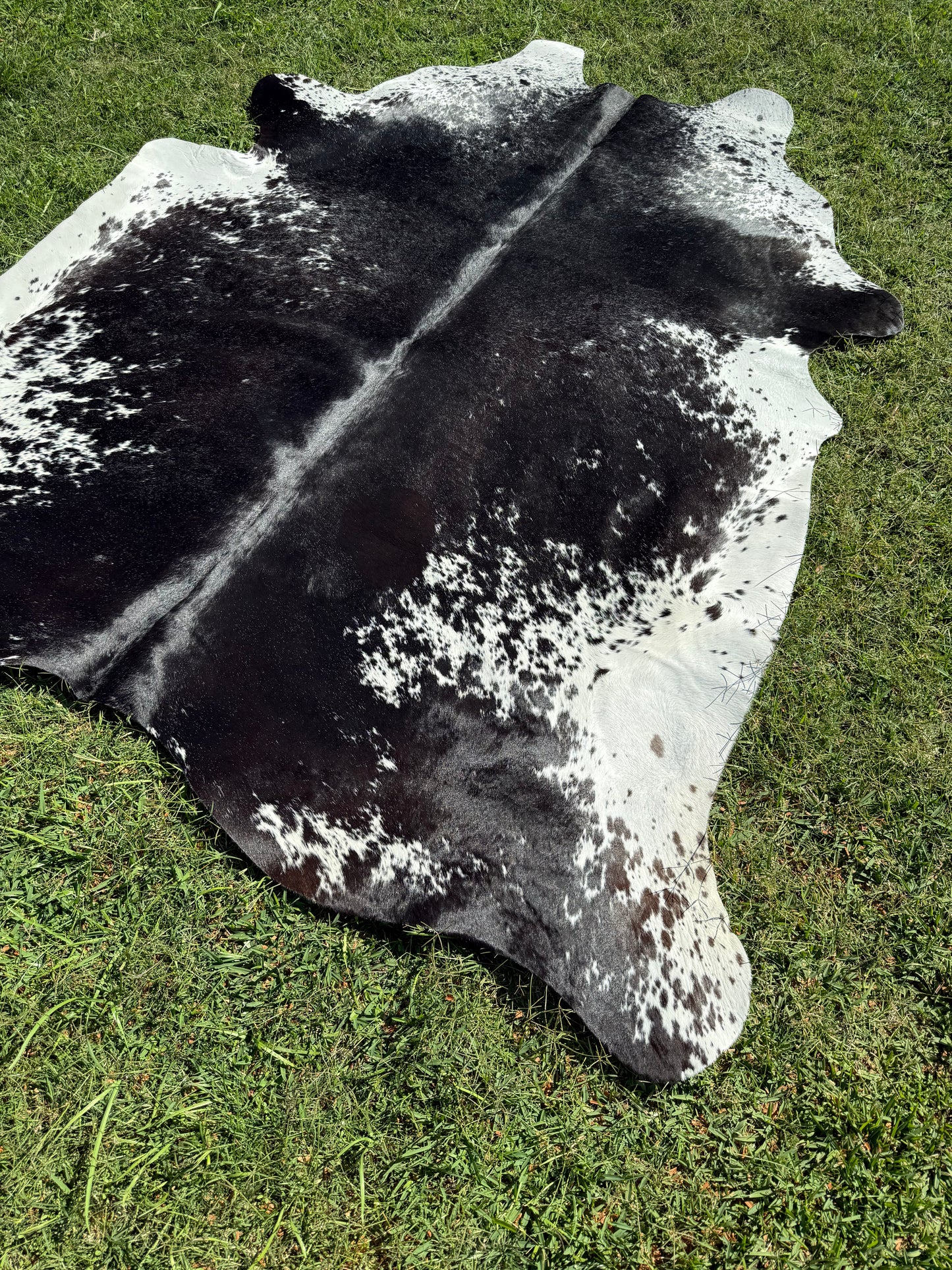 Cowhide Rug 293