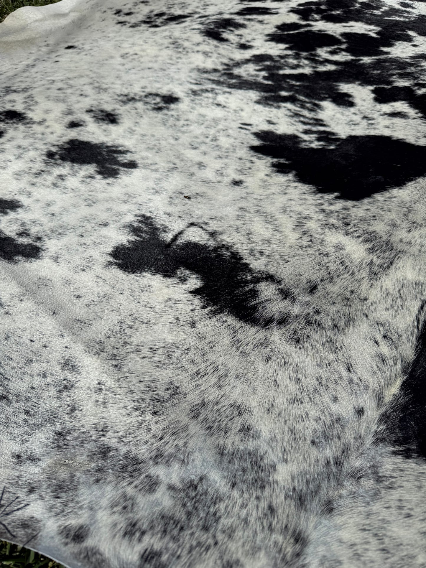 Cowhide Rug 289