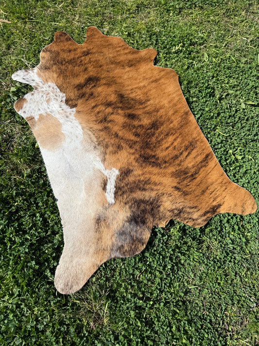 Mini Cowhide 22