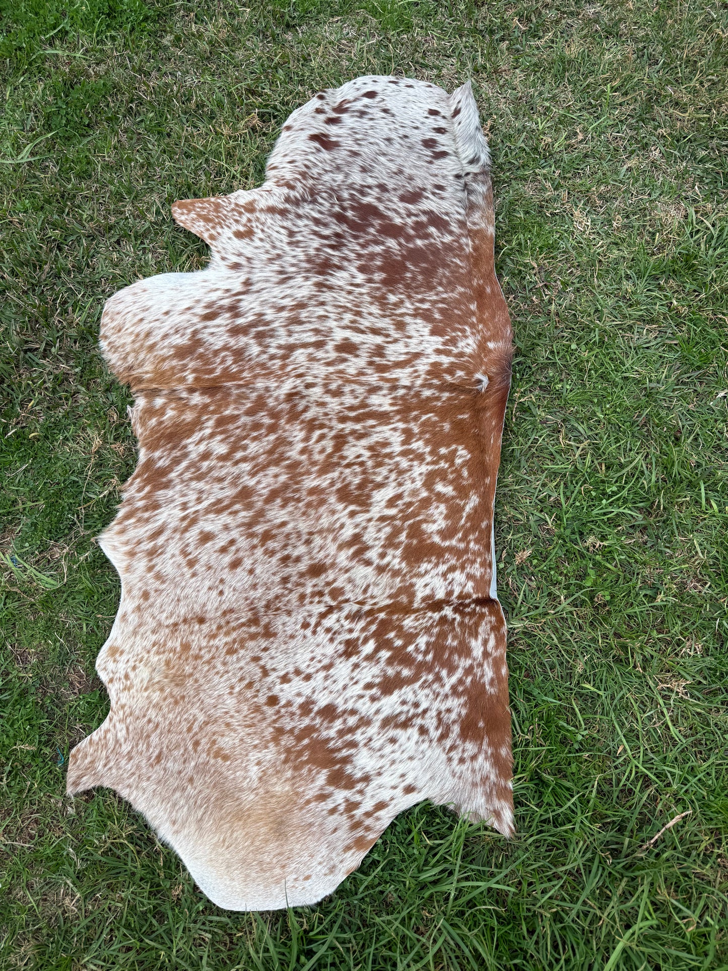 Craft hide side - 158