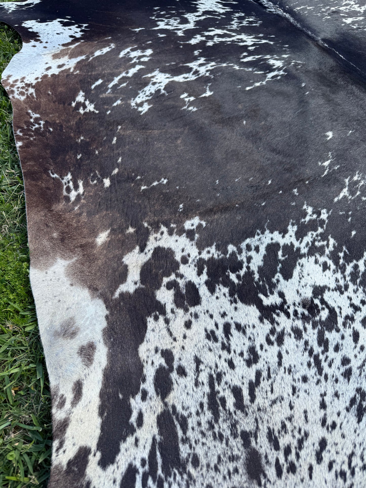 Cowhide Rug 302