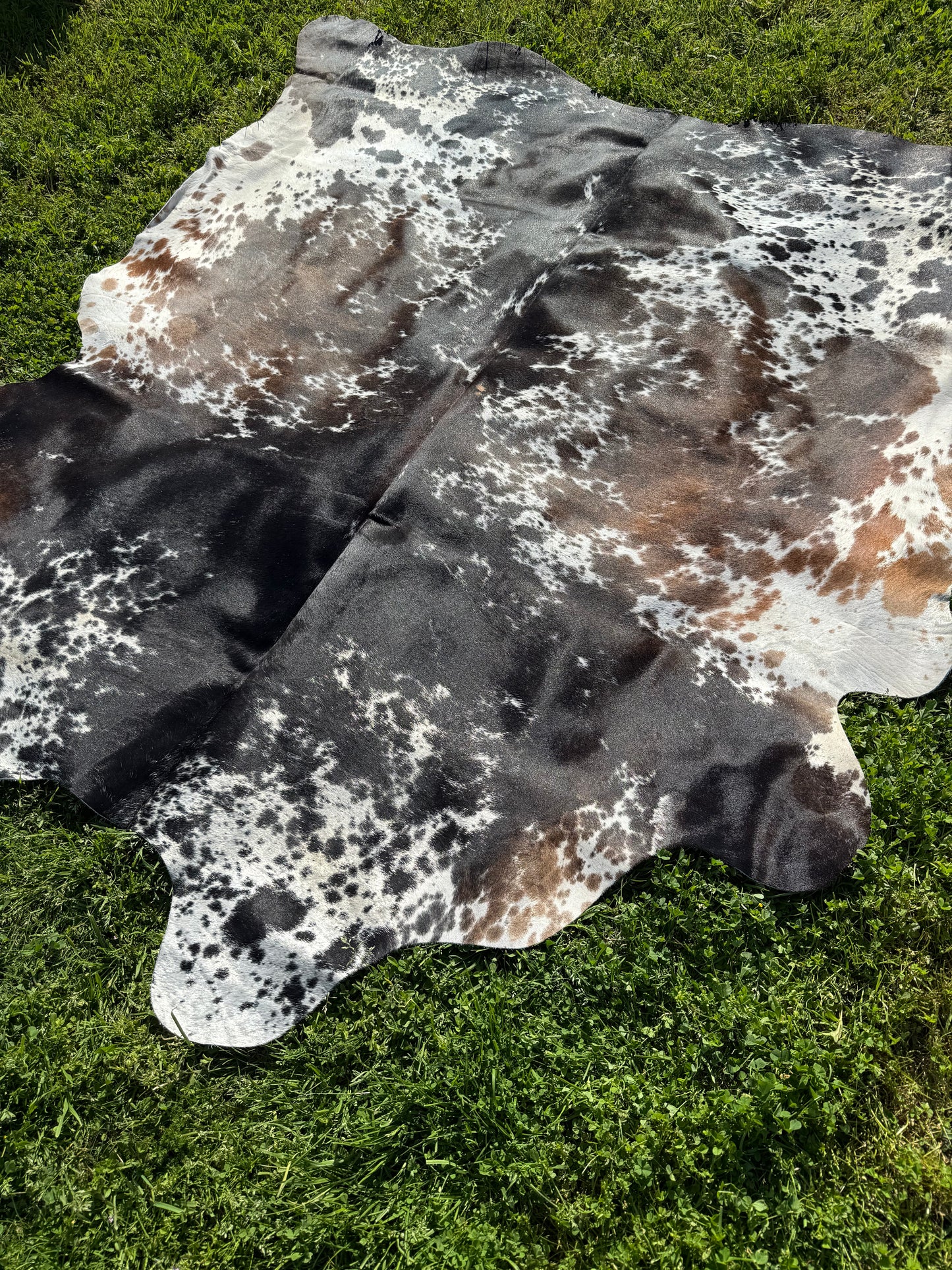 Cowhide Rug 329