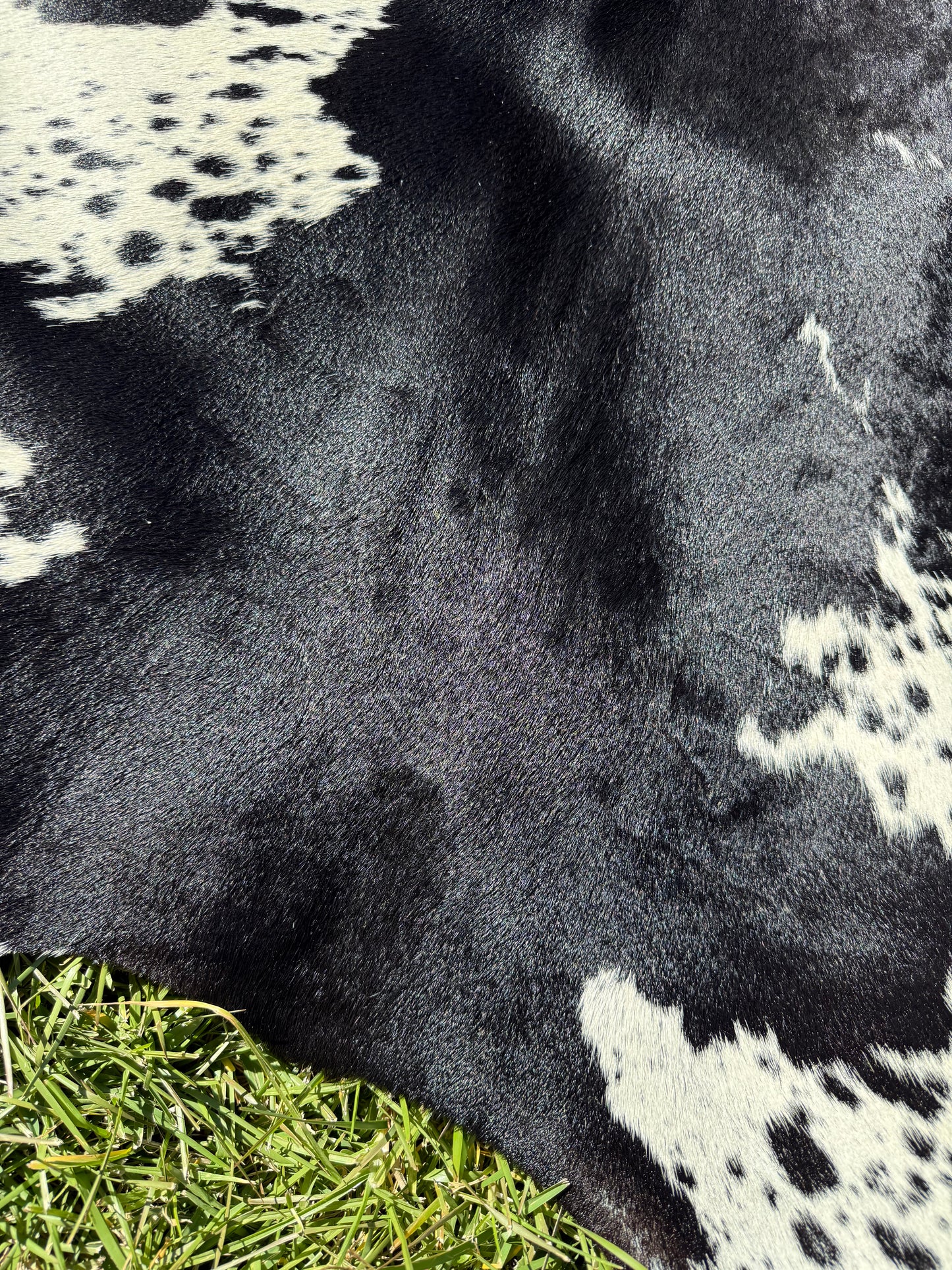Cowhide Rug 413