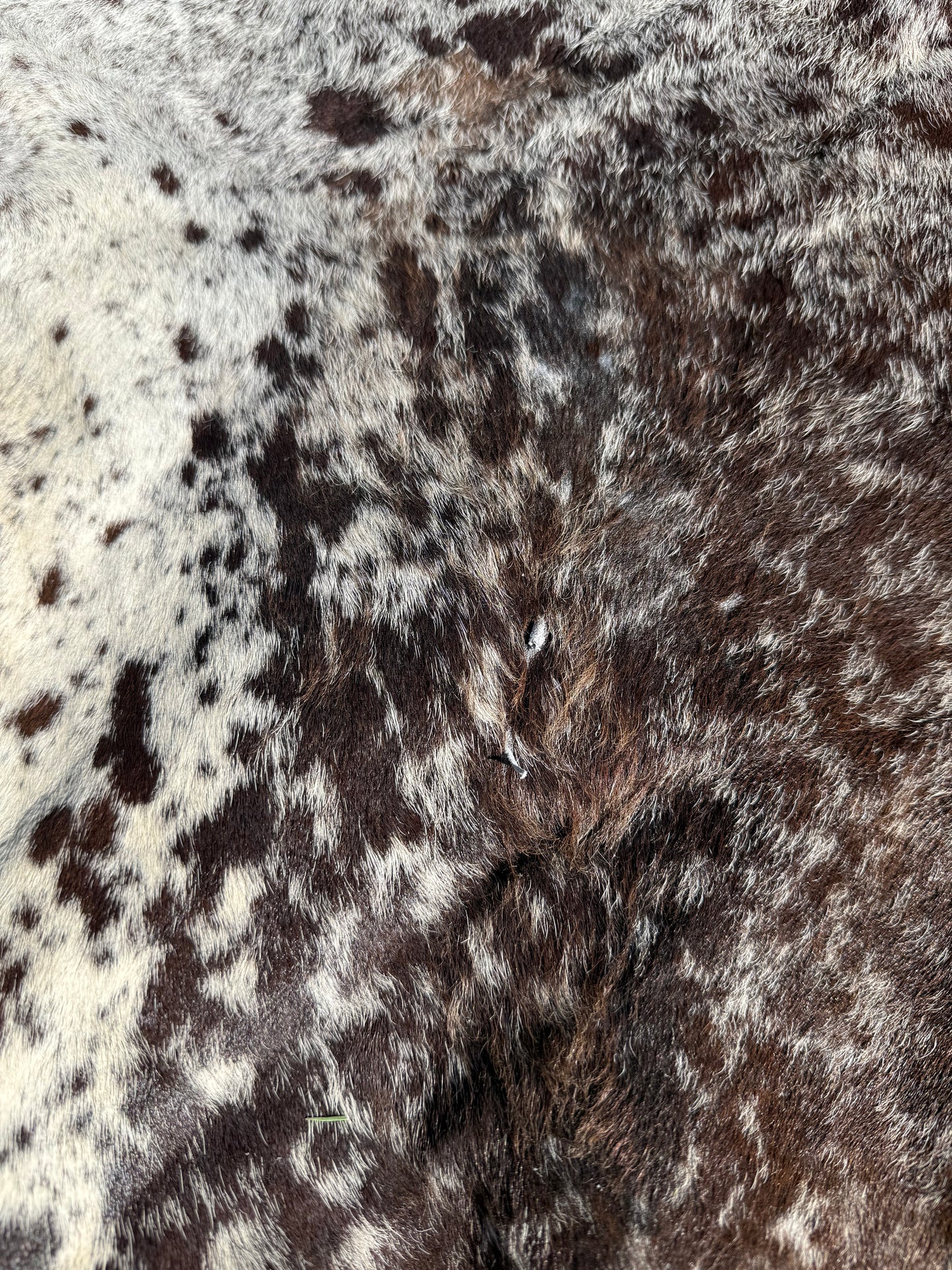 Craft hide side - 175