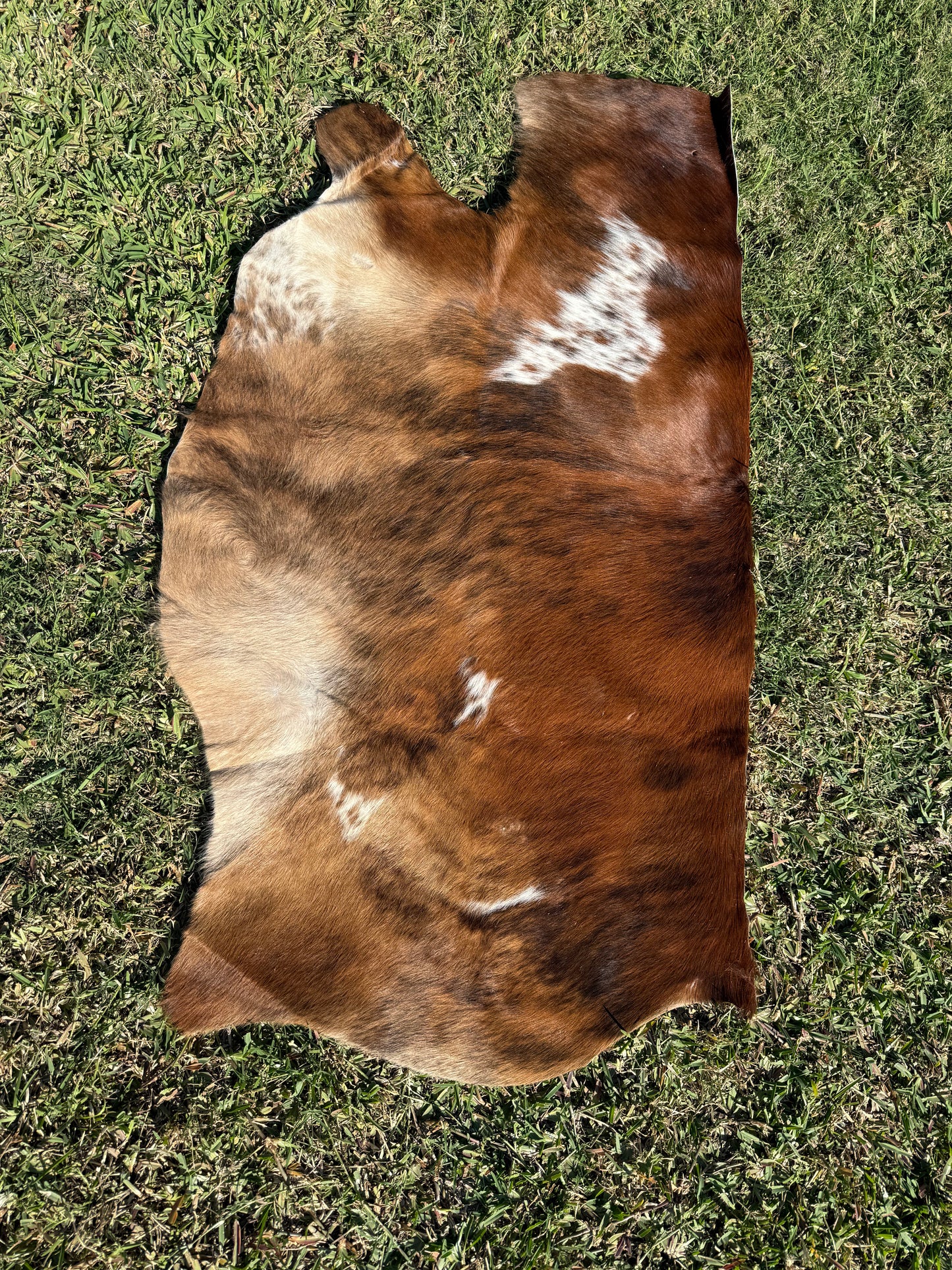 Craft hide side - 84