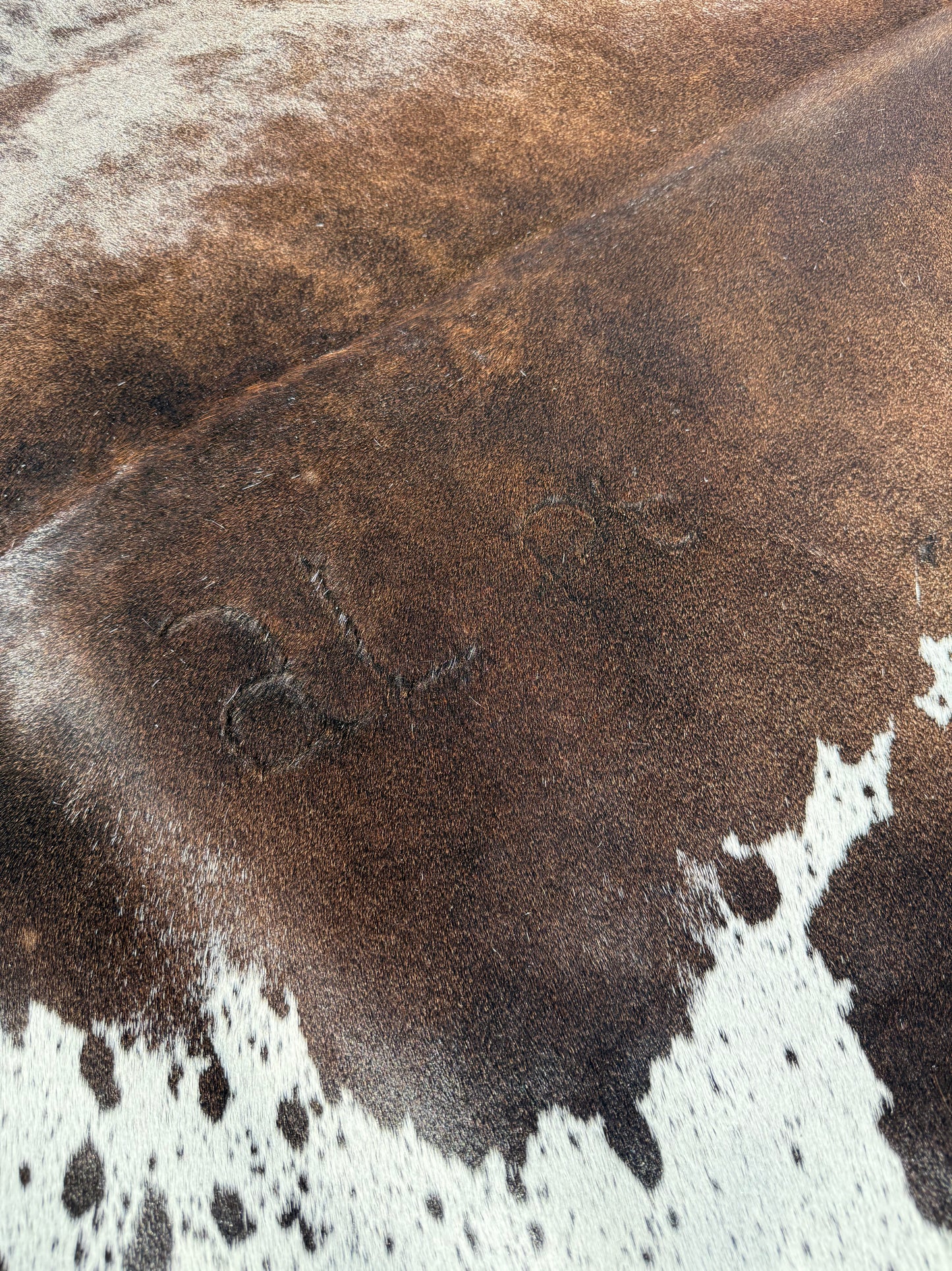 Cowhide Rug 342