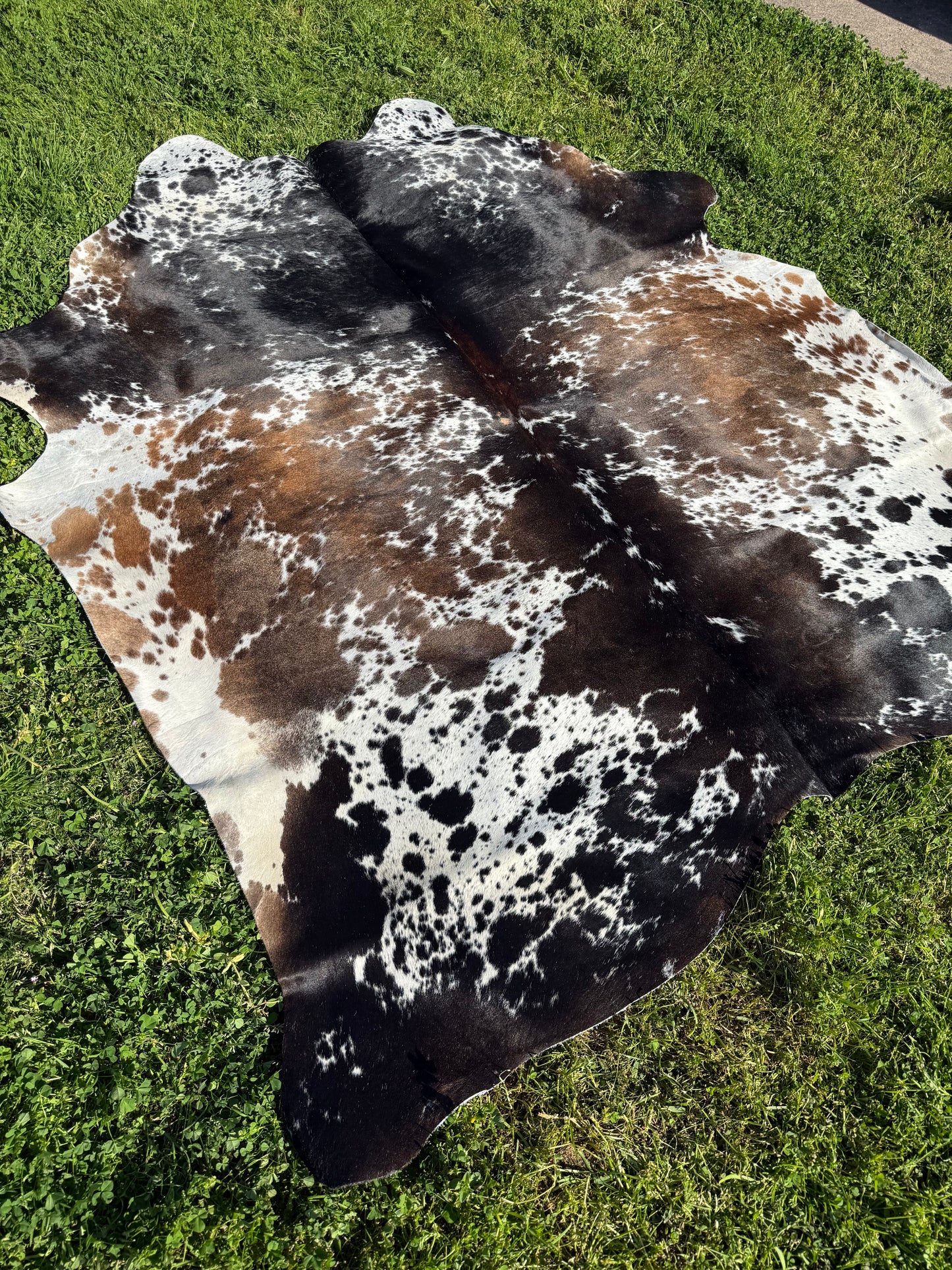Cowhide Rug 329