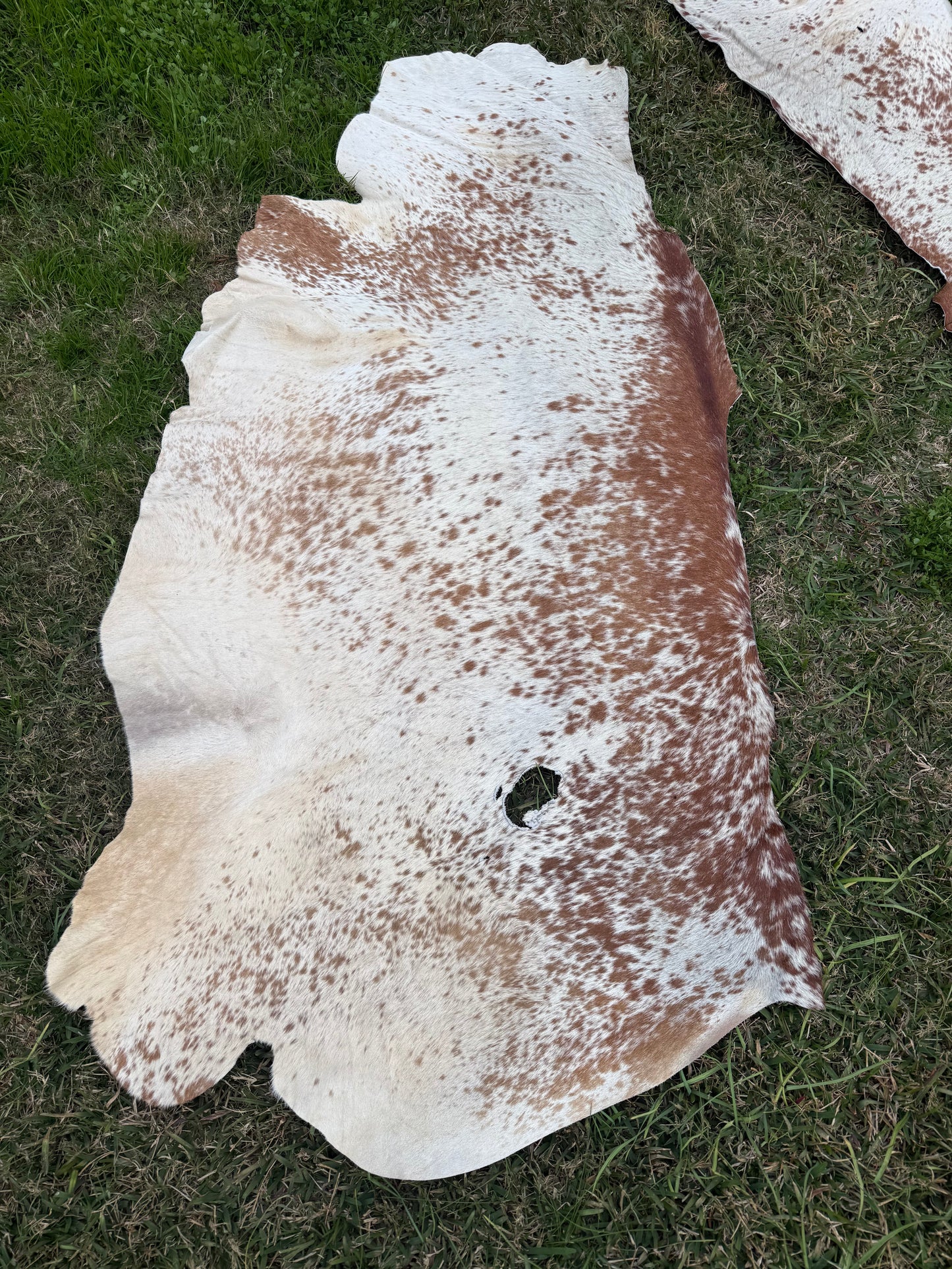 Craft hide side - 153