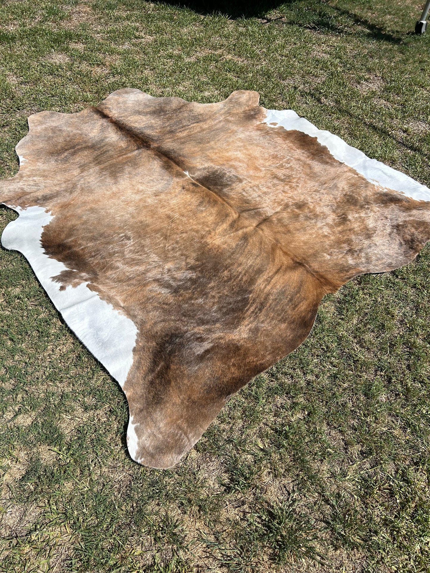 Cowhide Rug 267