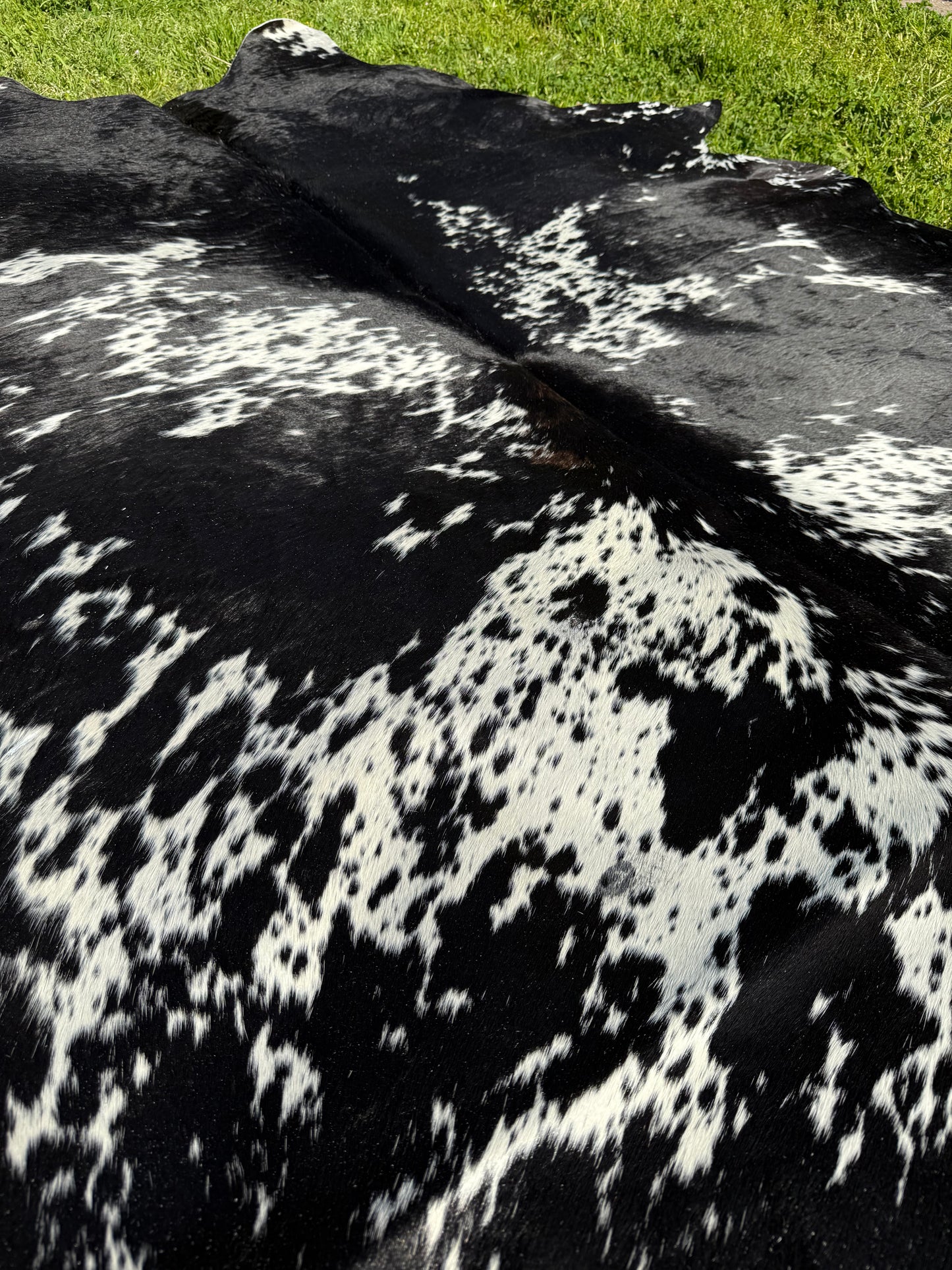 Cowhide Rug 328