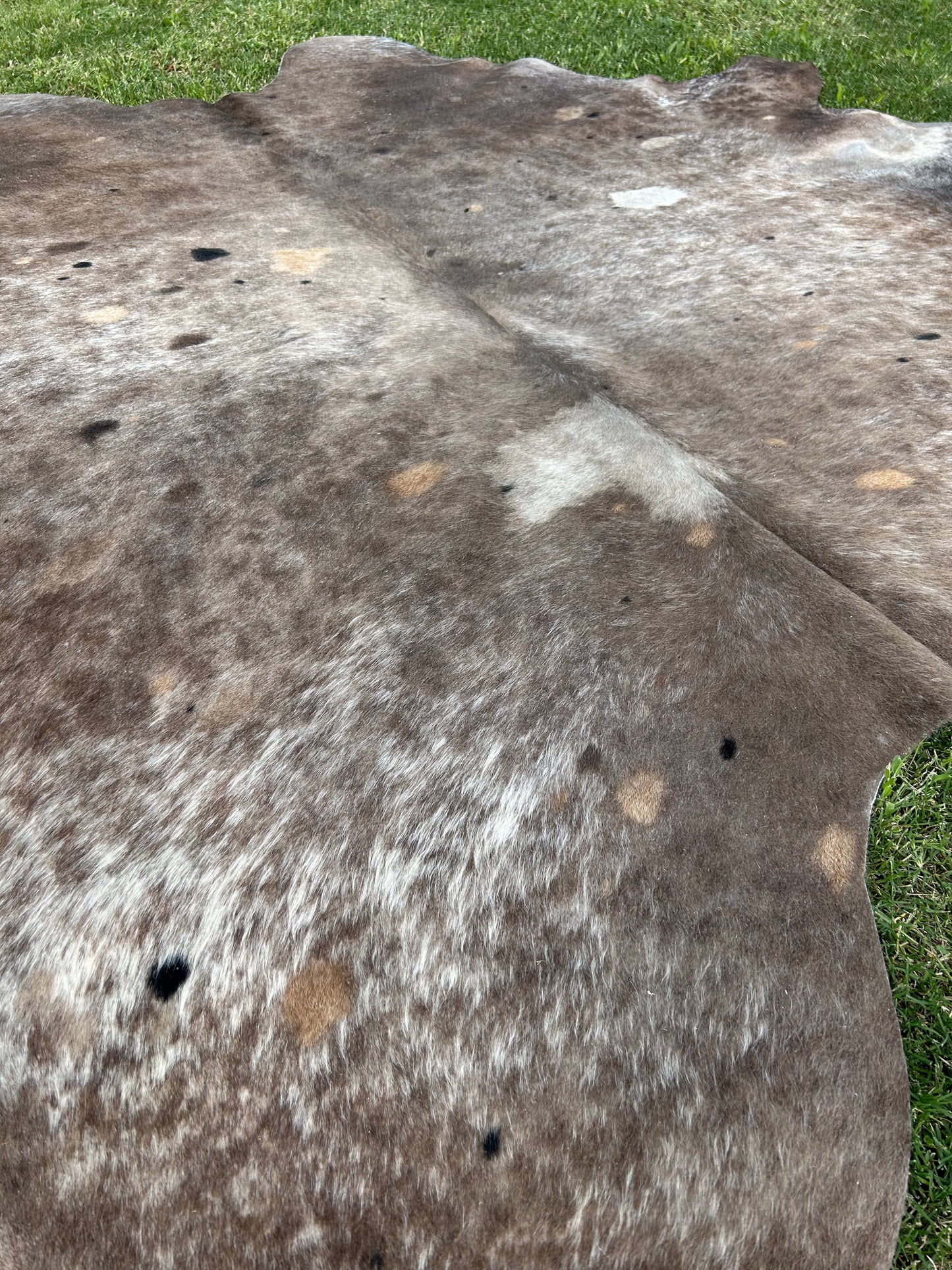 2nd rug