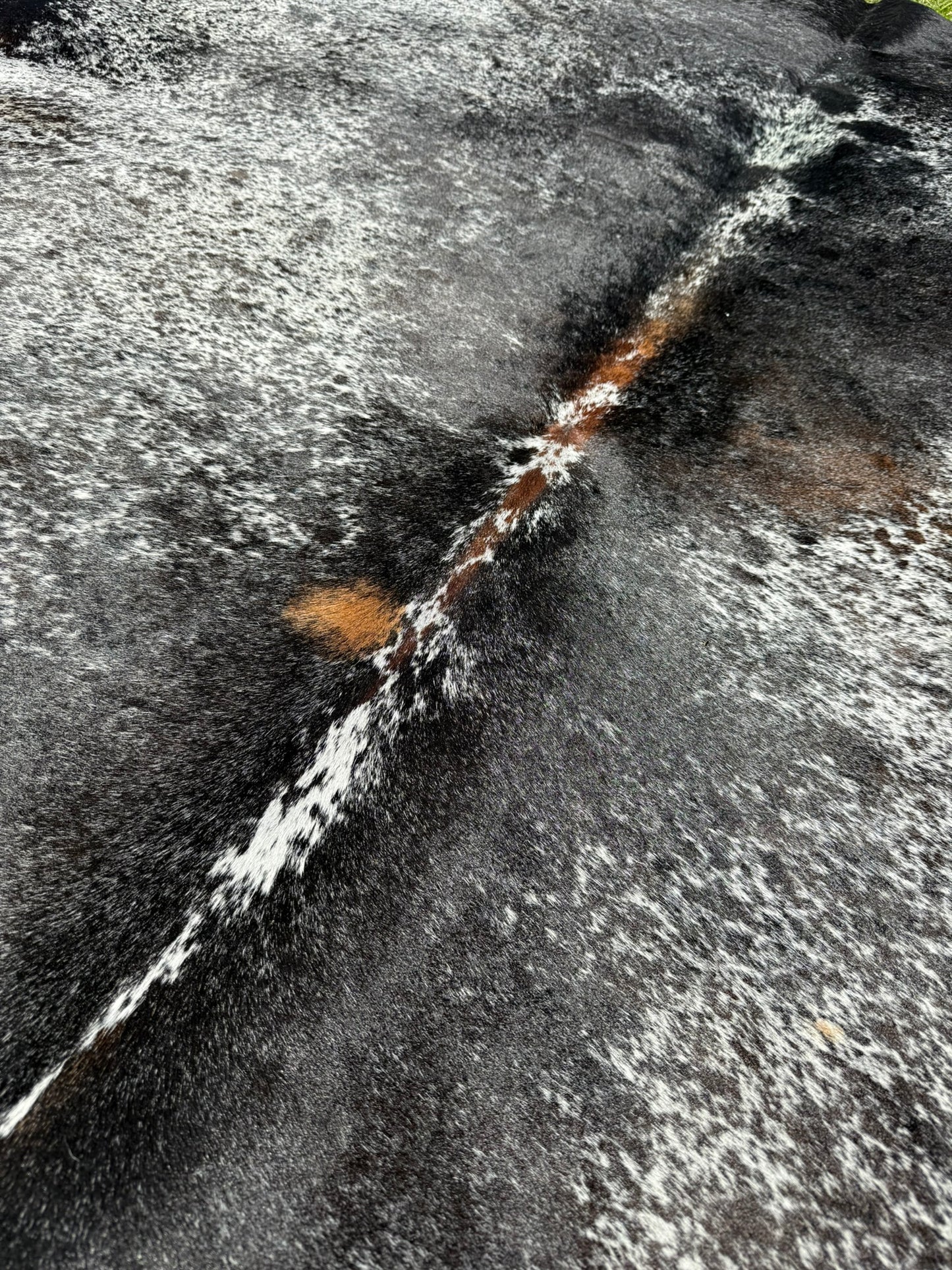 Cowhide Rug 300