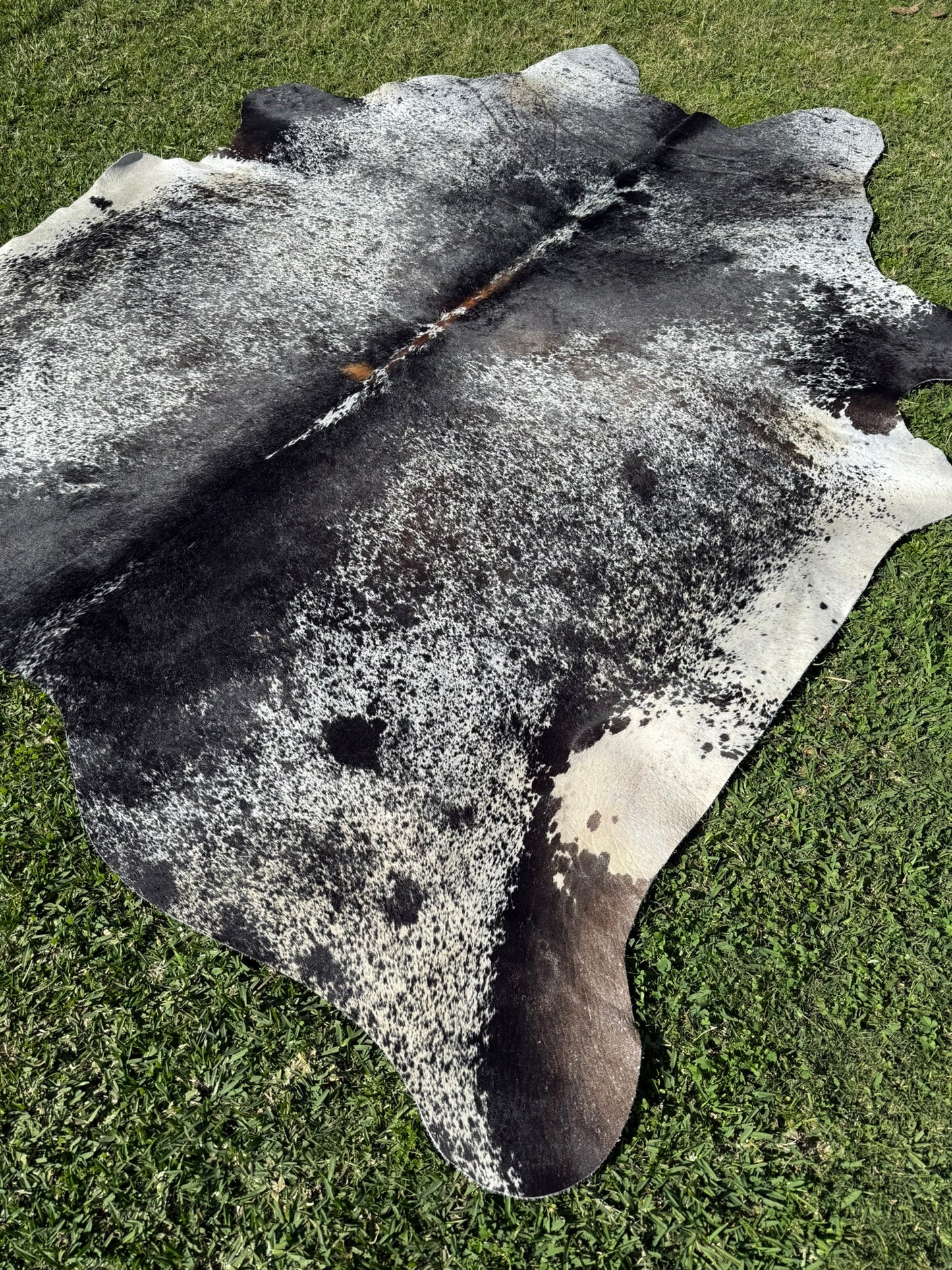 Cowhide Rug 300