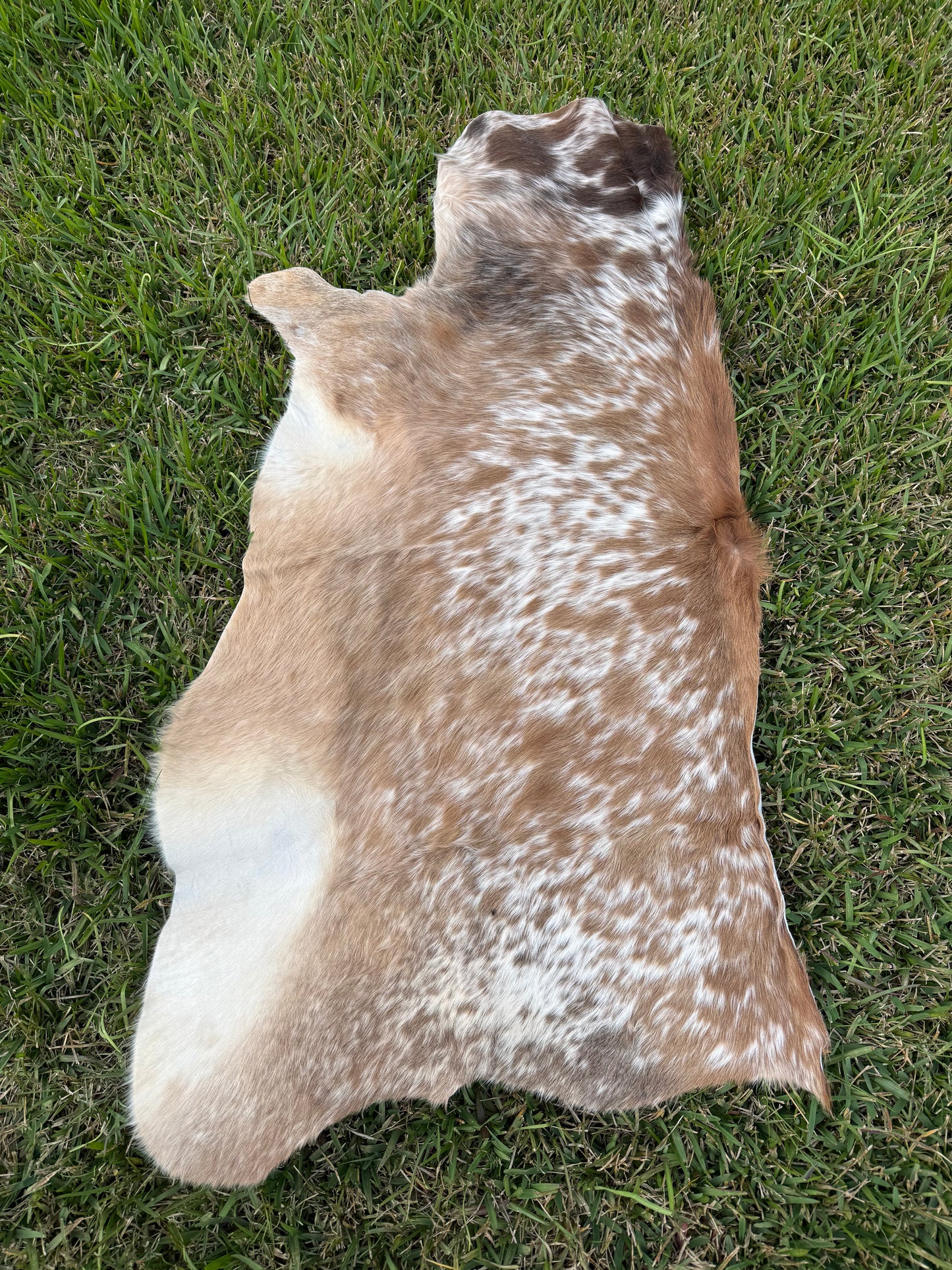 Craft hide side - 128
